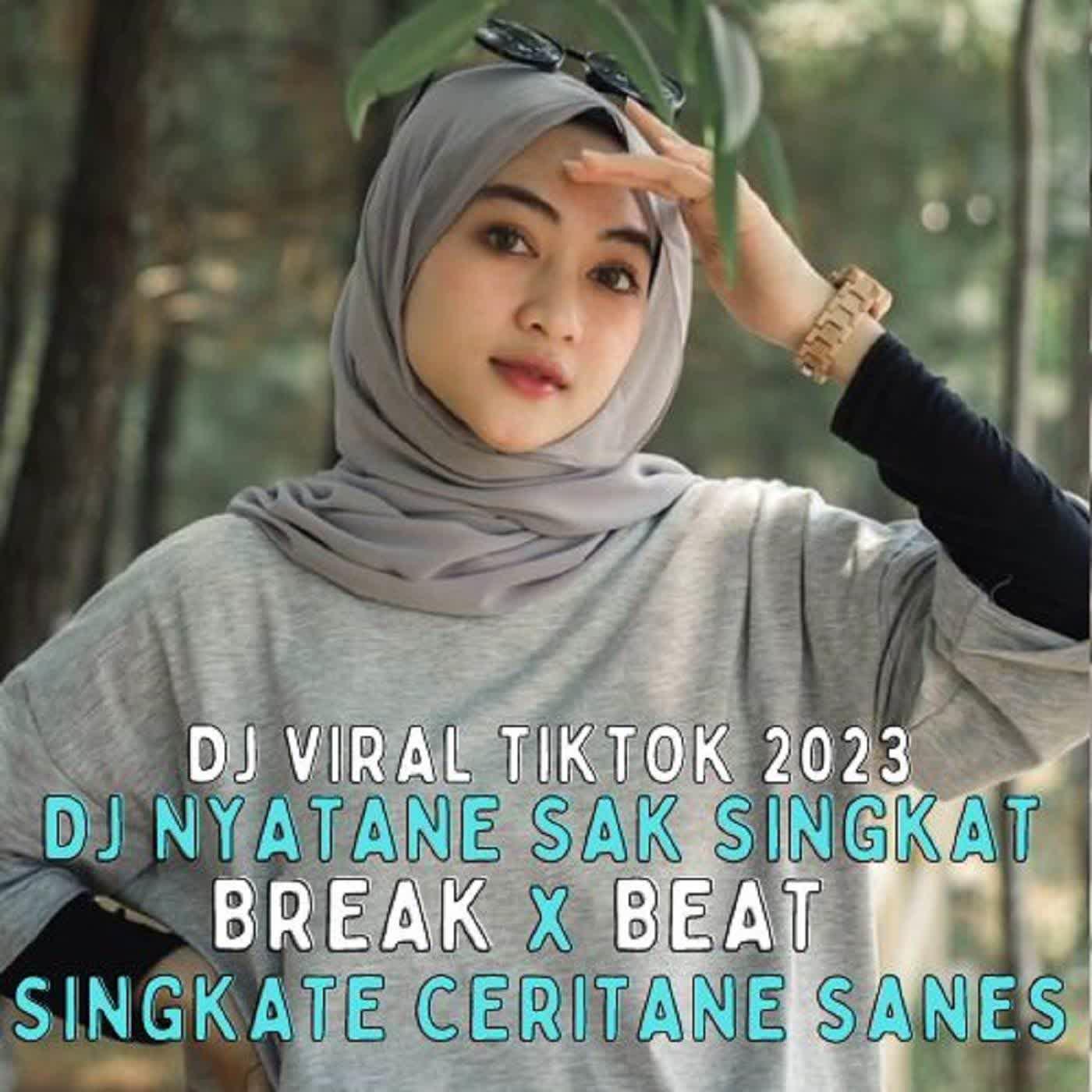 Релиз DJ NYATANE SAK SINGKAT SINGKATE CERITANE FULLBASS KANEE