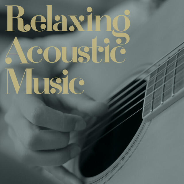 Постер альбома Relaxing Acoustic Music