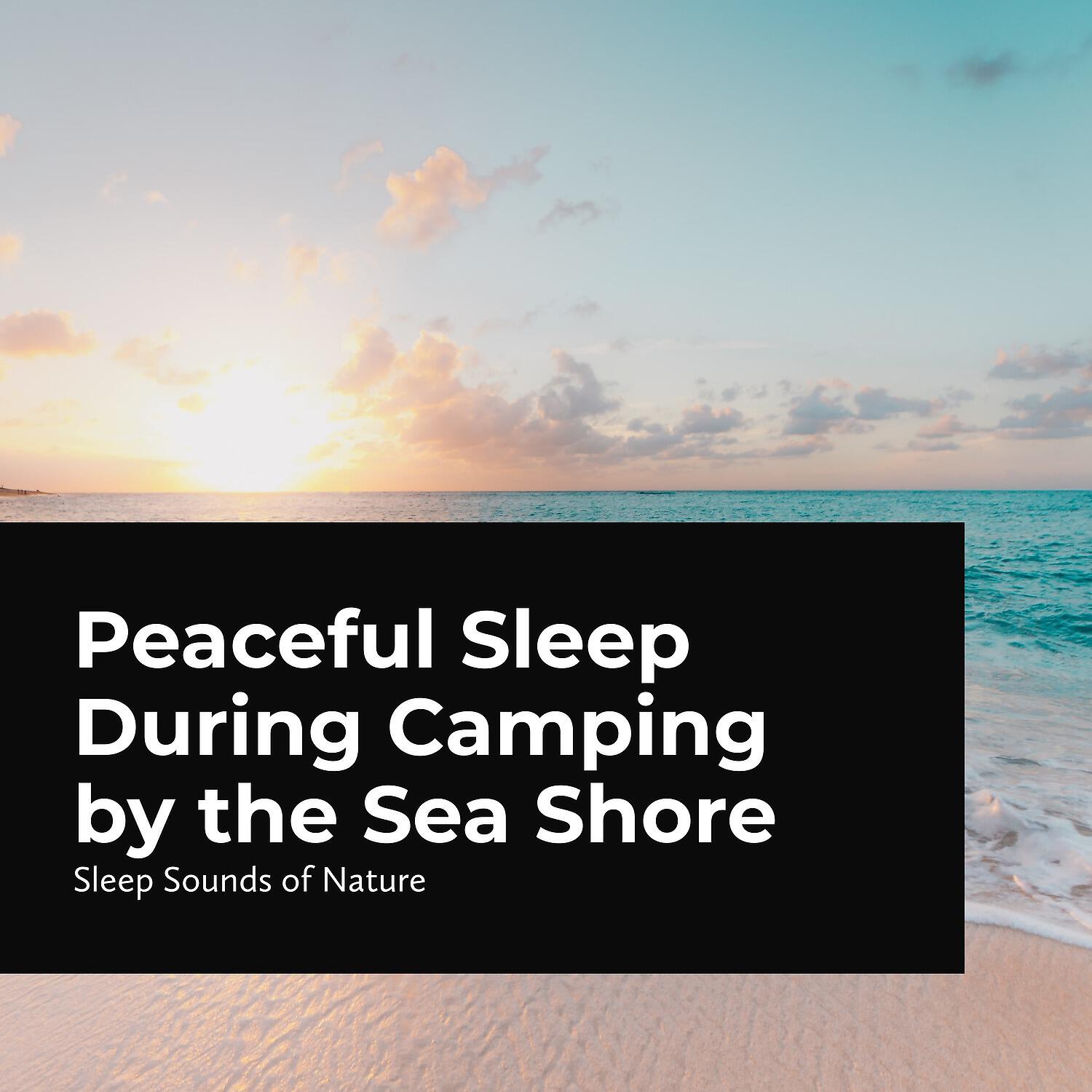 Релиз Peaceful Sleep During Camping by the Sea Shore