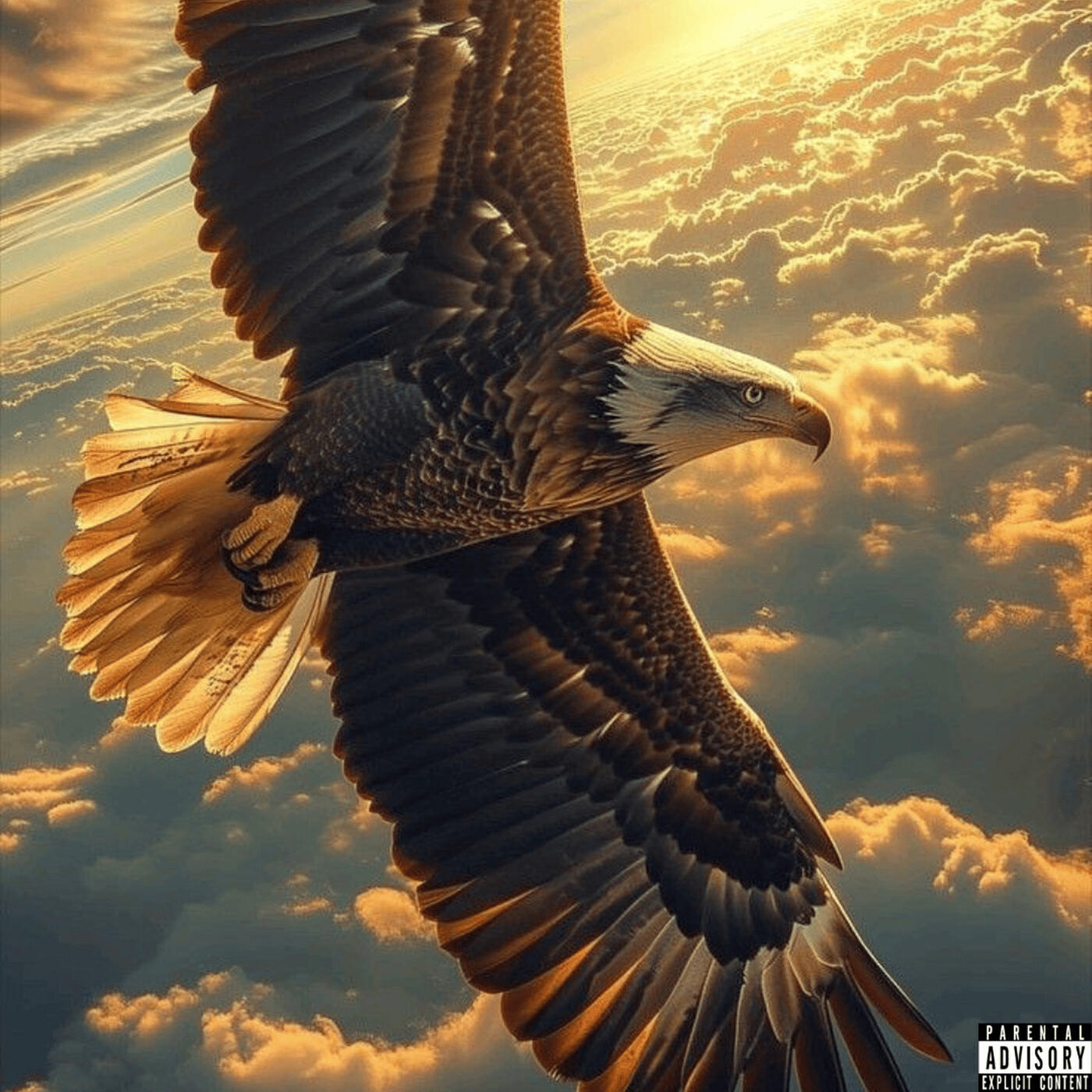 Релиз High