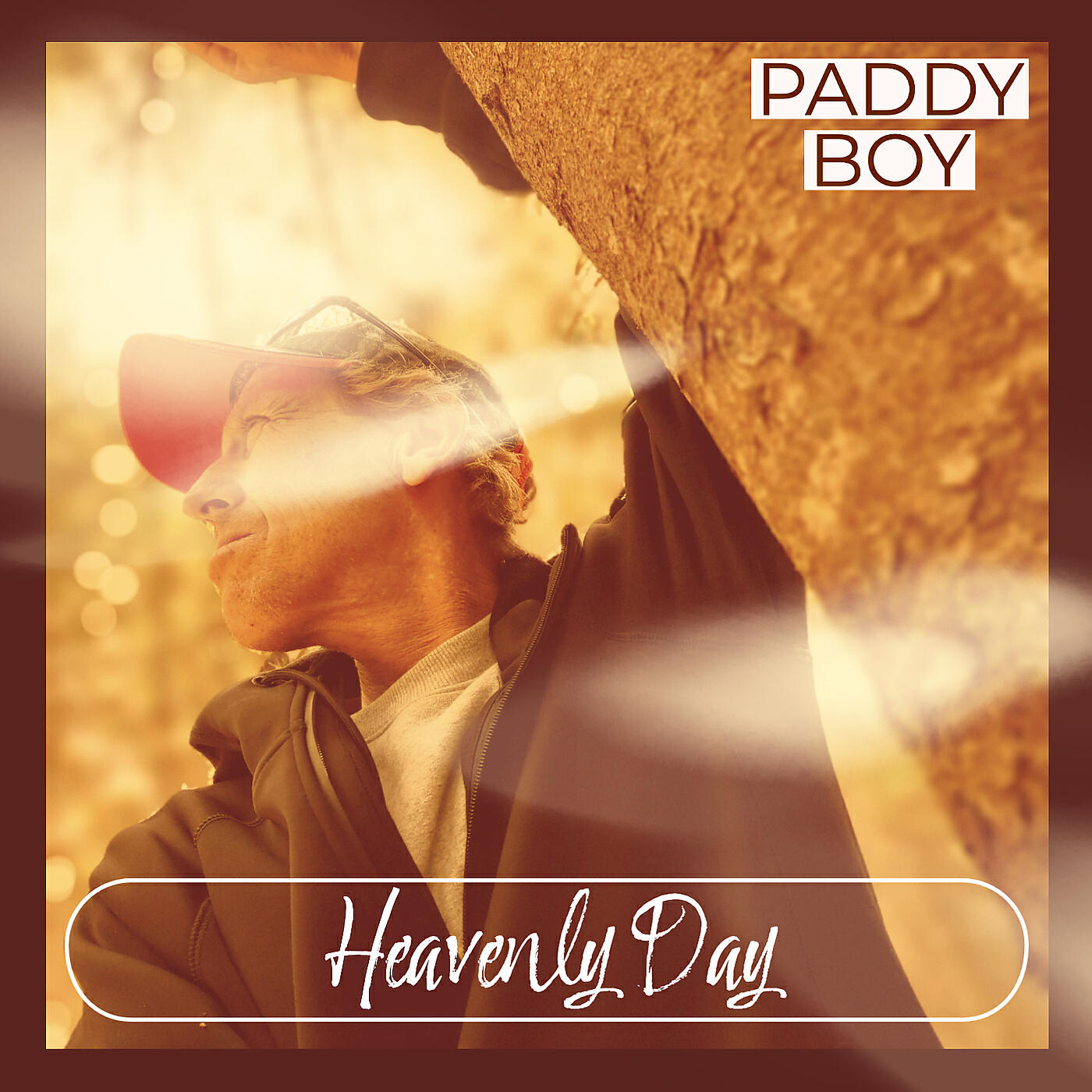 Paddy Boy