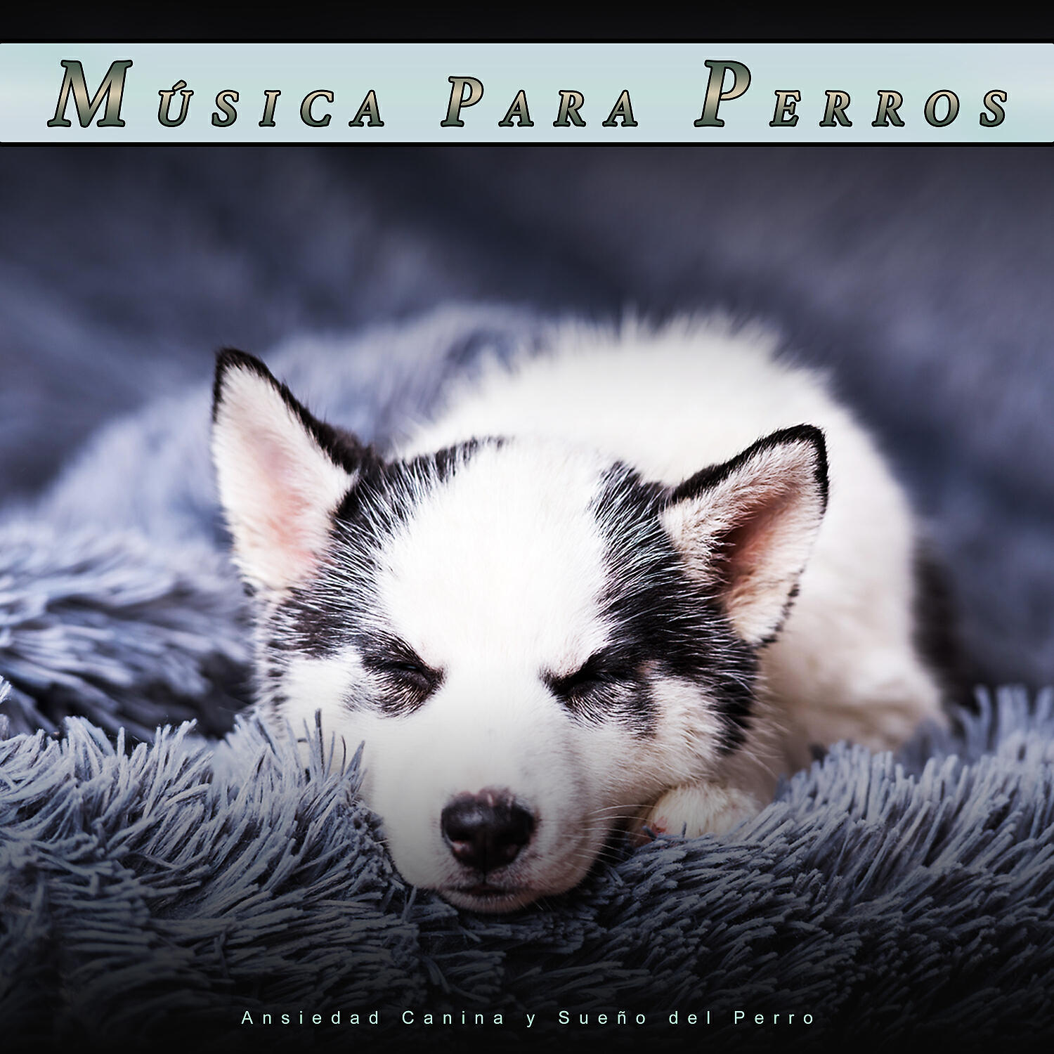 Релиз Música Para Perros: Ansiedad Canina y Sueño del Perro