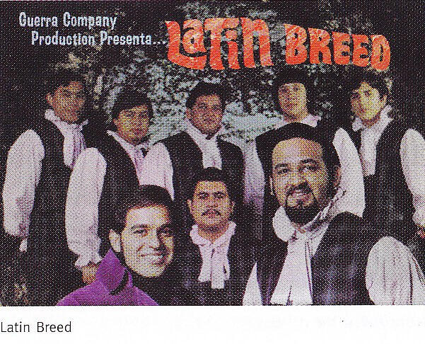 Latin Breed