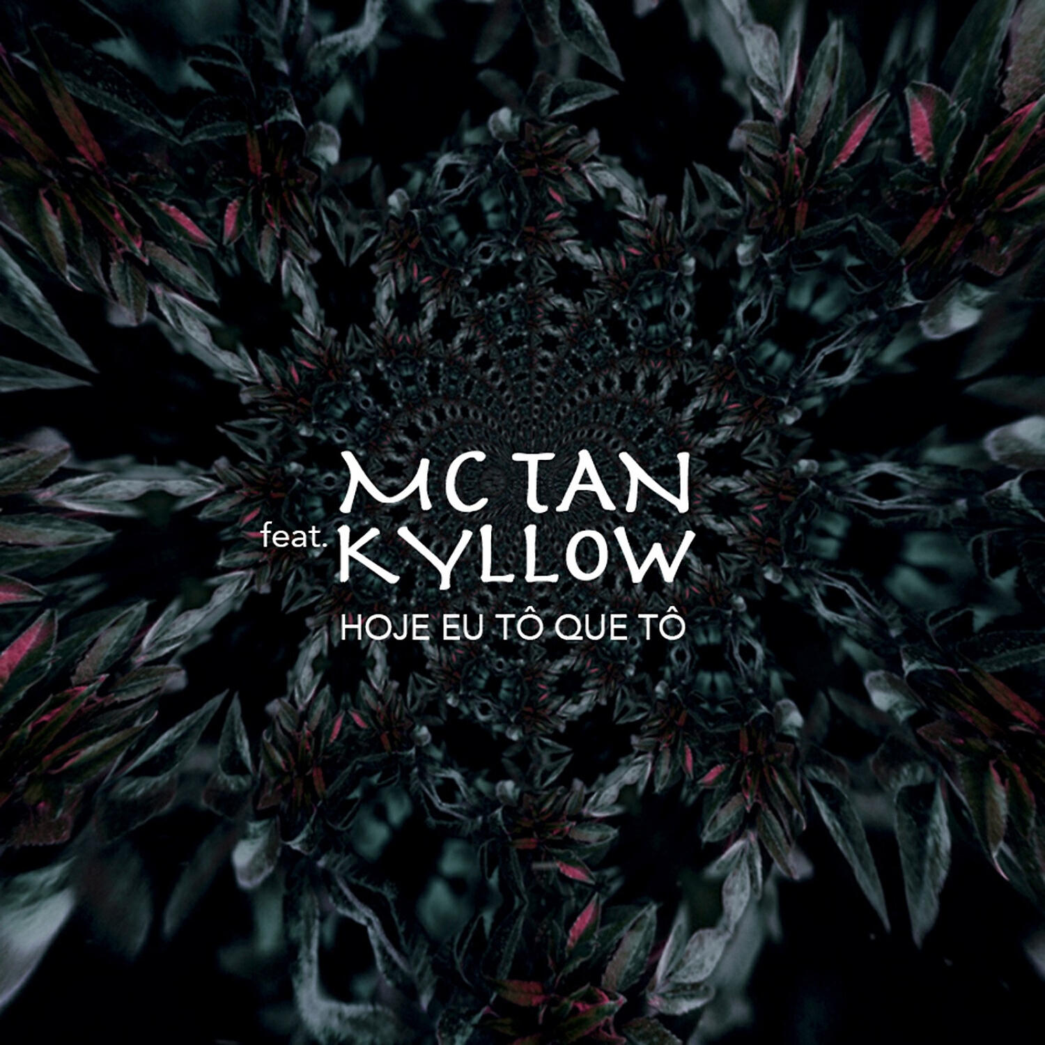 Скачать песню MC Tan & Kyllow - Hoje Eu Tô Que Tô (feat. Kyllow) бесплатно в MP3 для Android и iOS