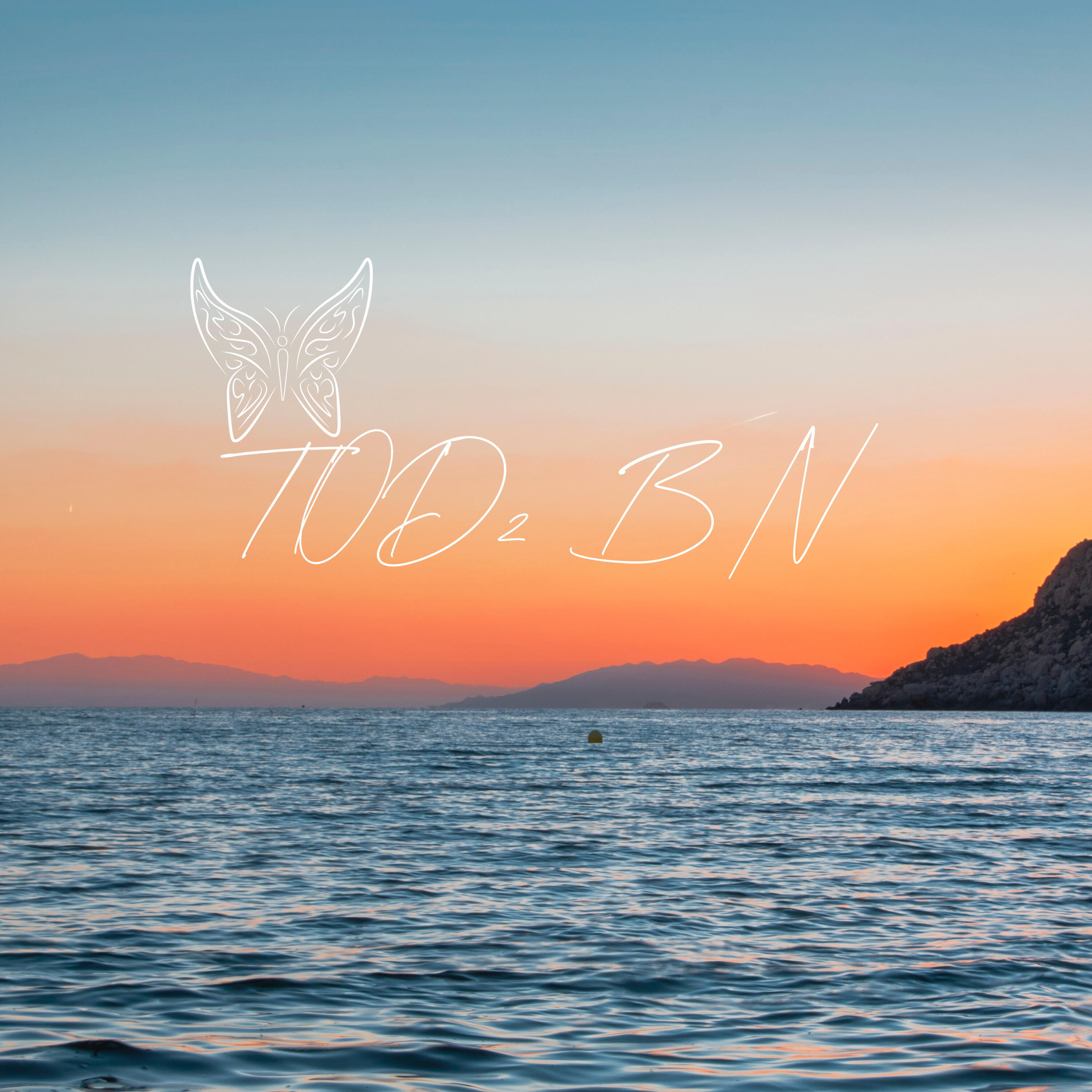Релиз To2 Bn