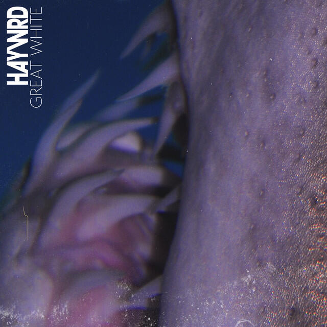 Релиз great white