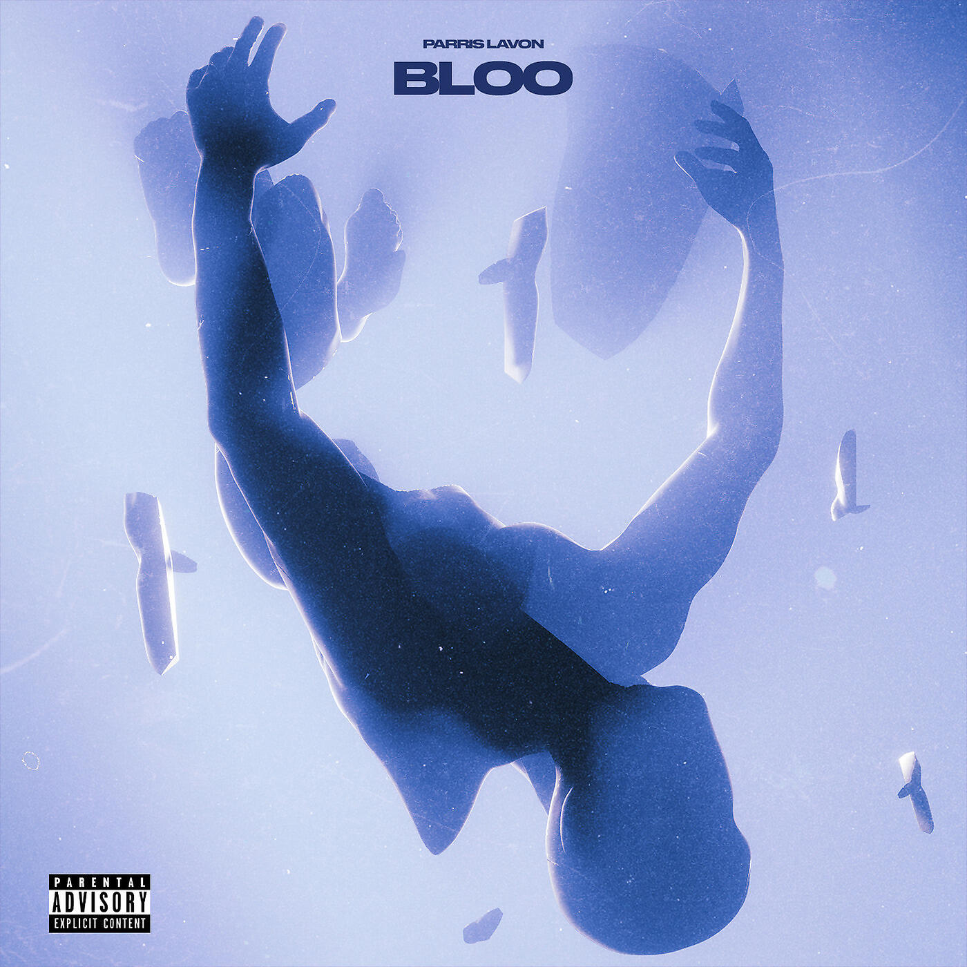 Постер альбома Bloo