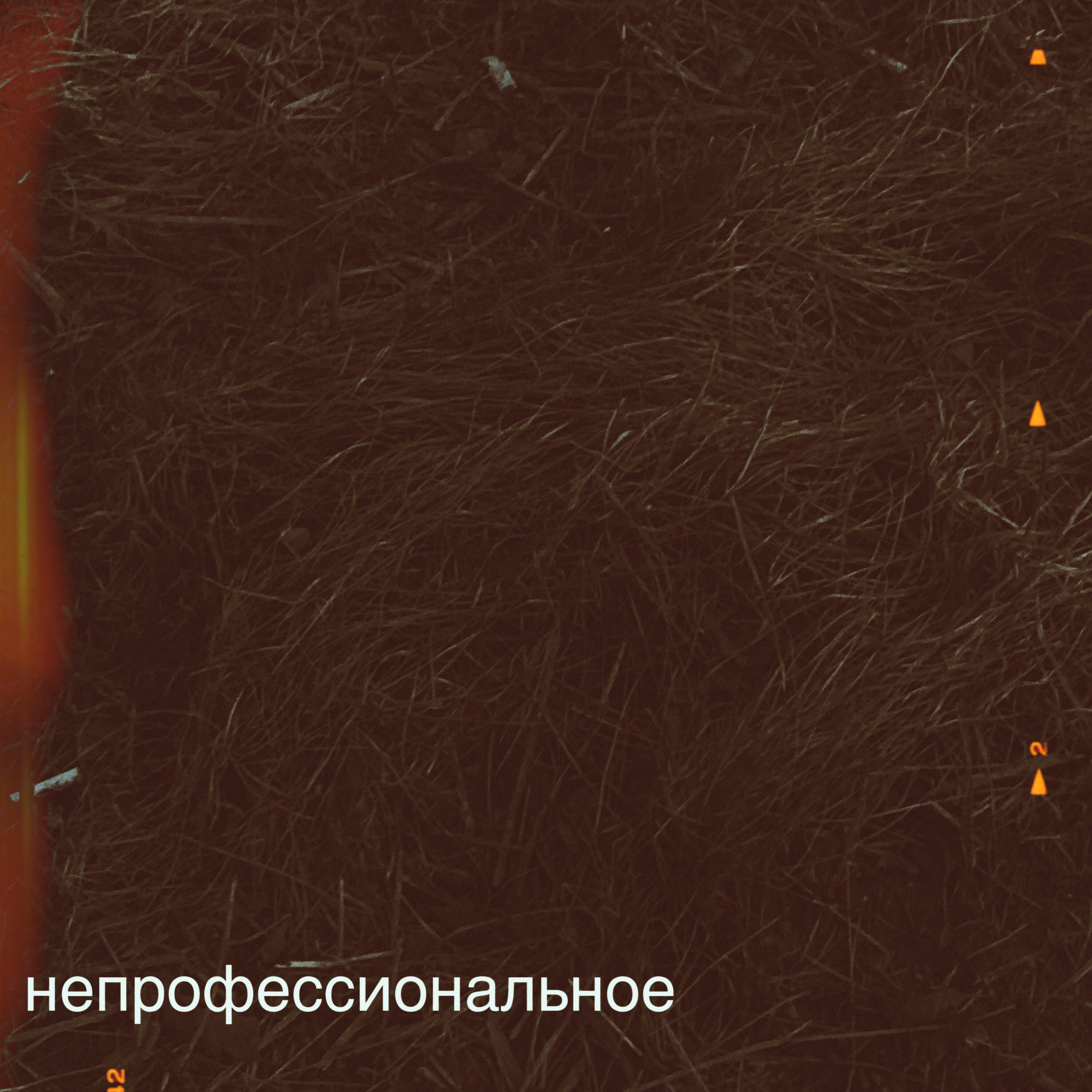 Релиз Непрофессиональное