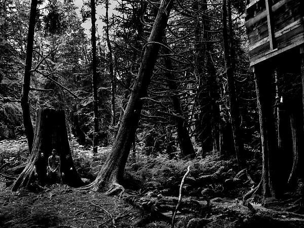 Wolves In The Throne Room
