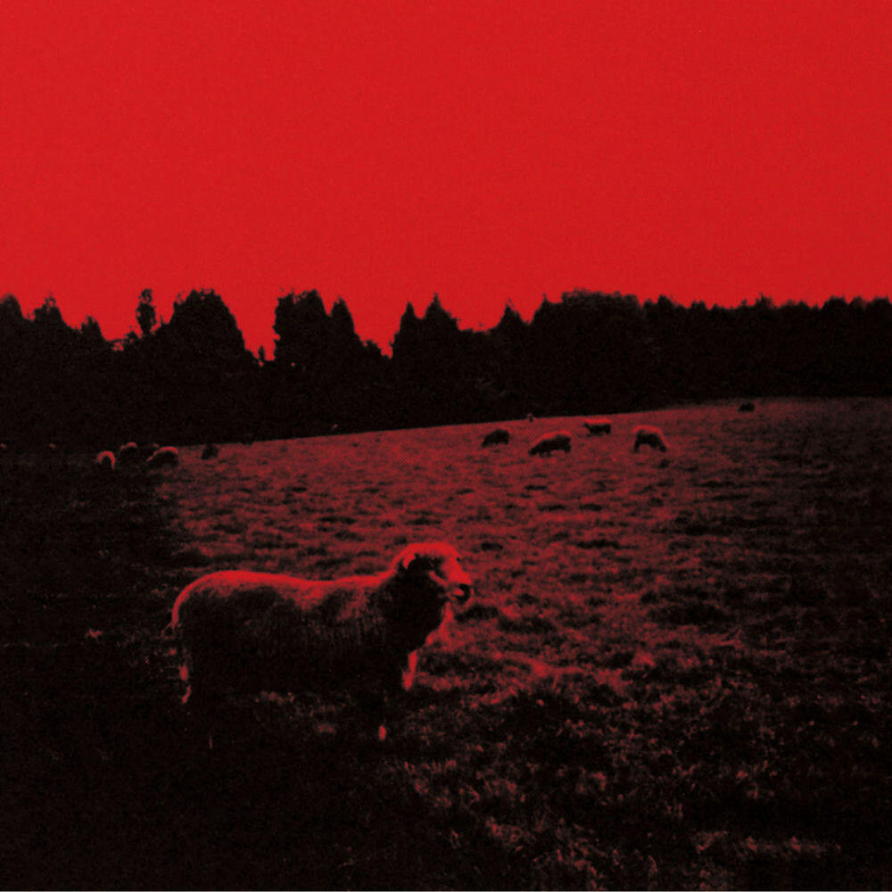 Релиз HELL-SEE