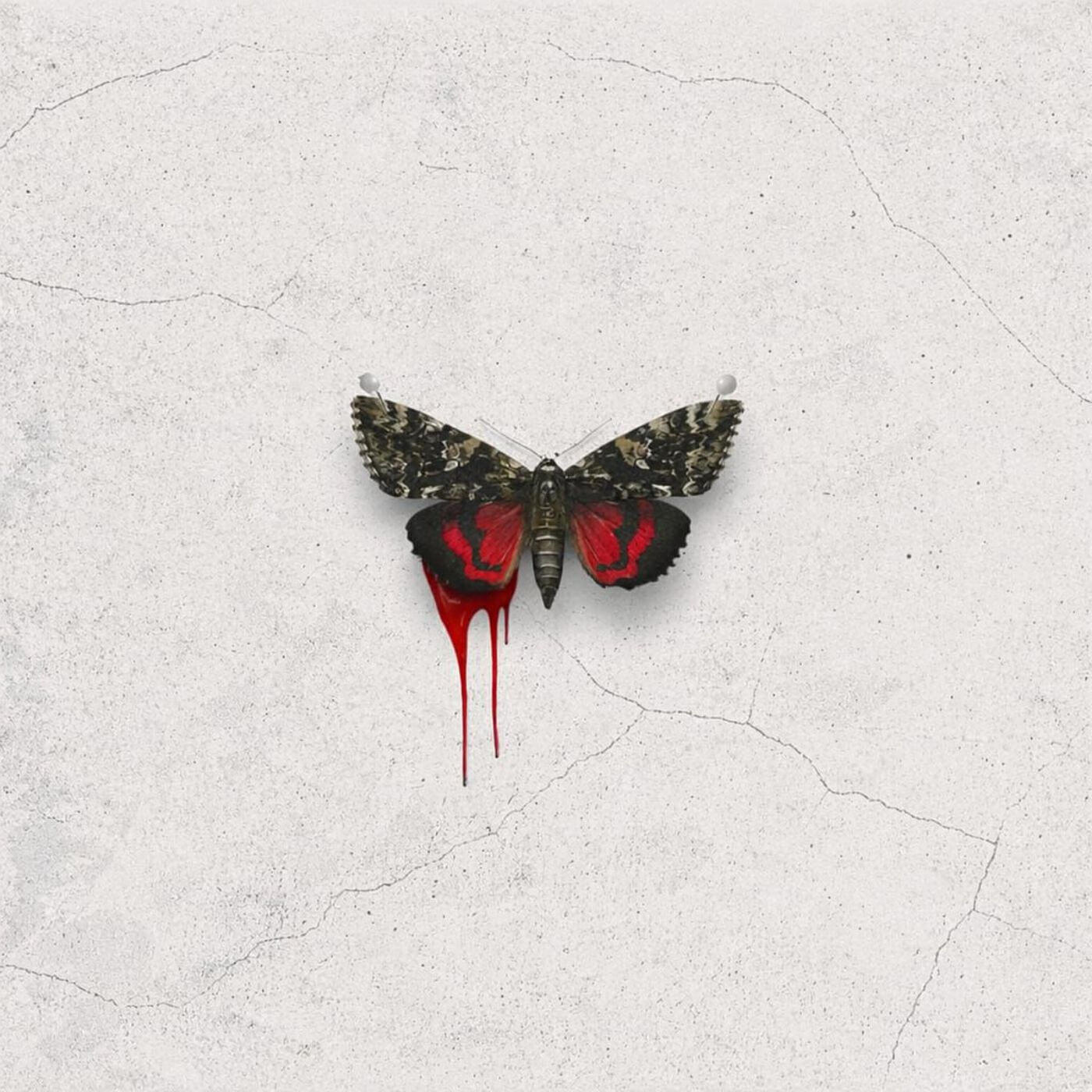 Релиз Alone