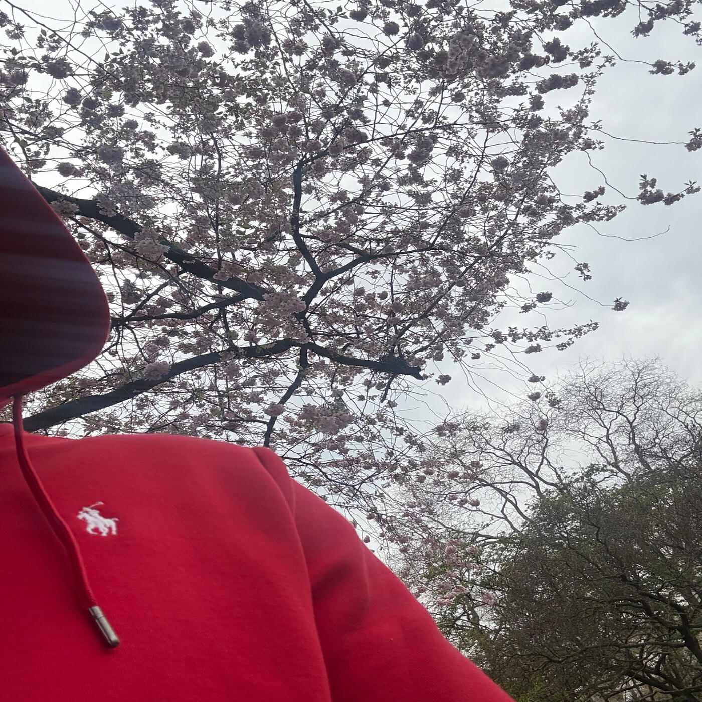 Релиз Ralph Tech