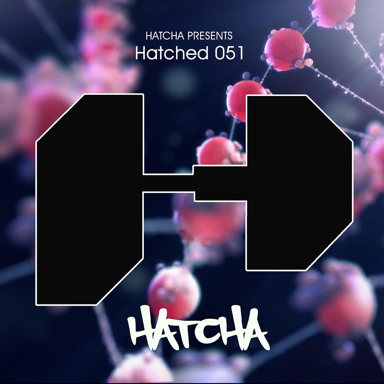 Постер альбома HATCHED 051