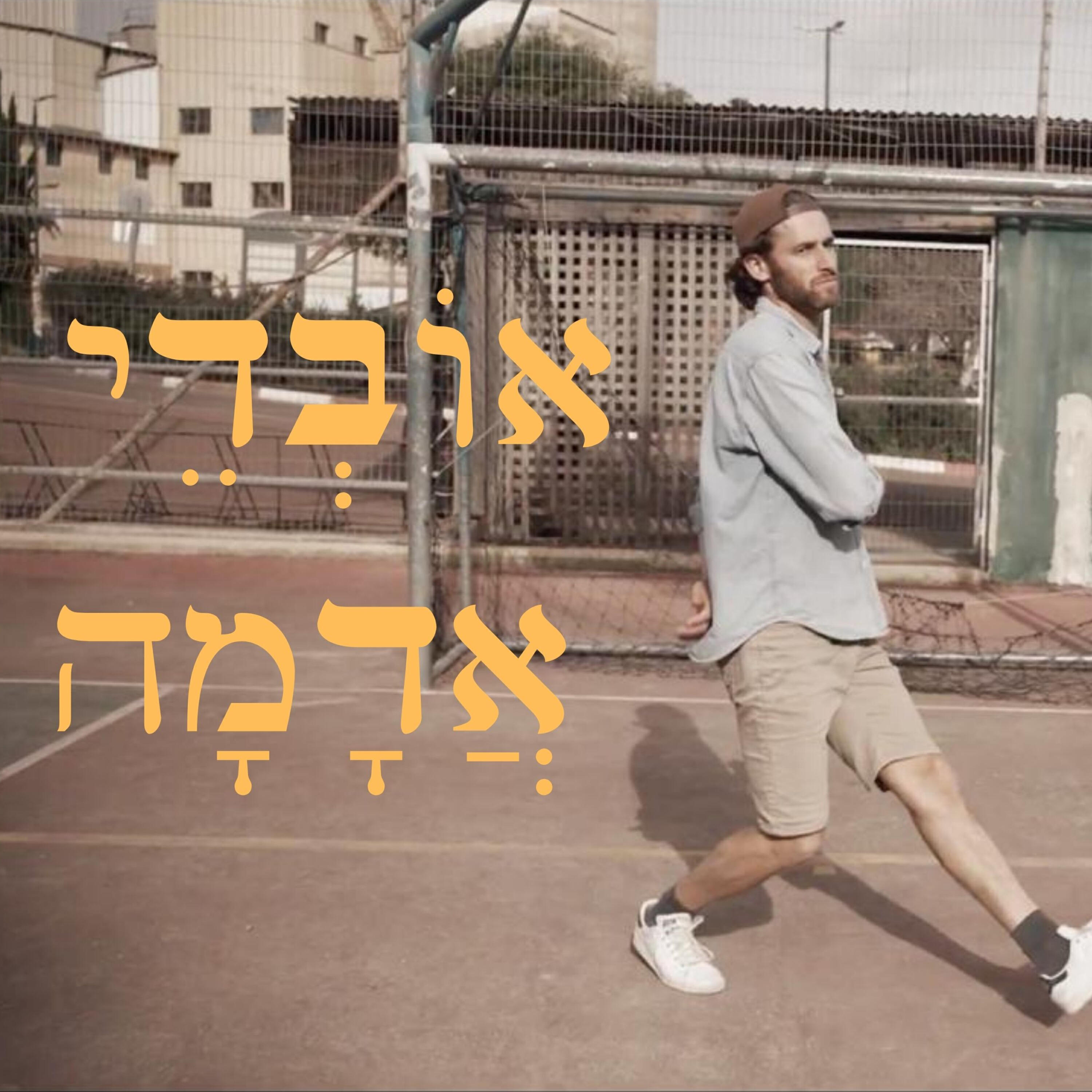 אורי עמית