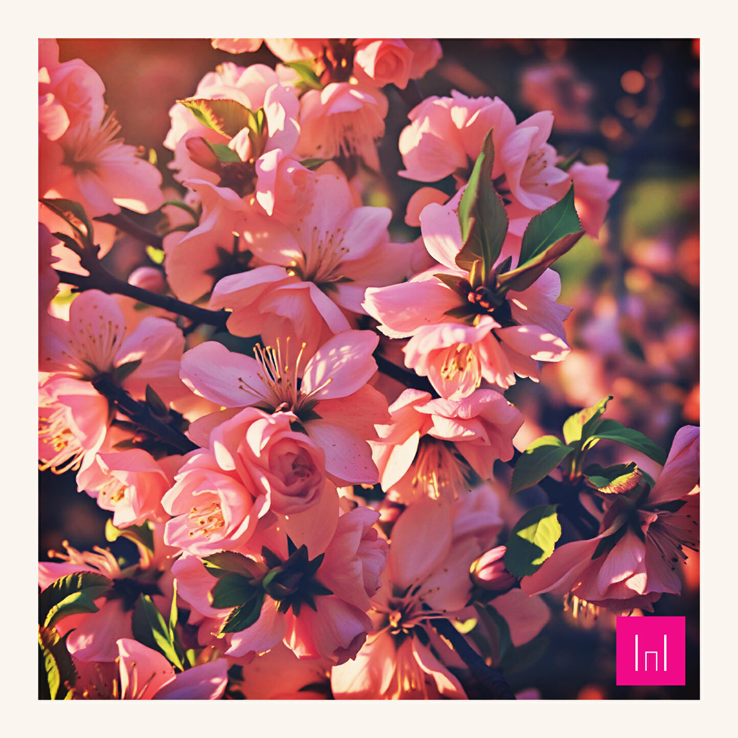 Релиз прикосновение и взгляд, что таят в себе очарование (не)сбывшегося