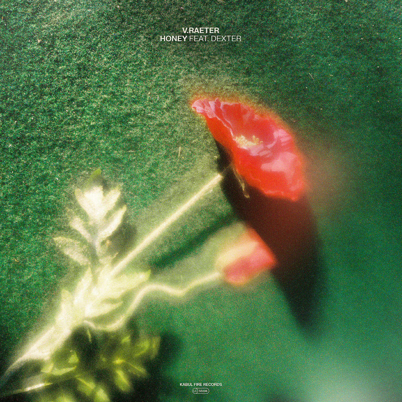 Релиз Honey