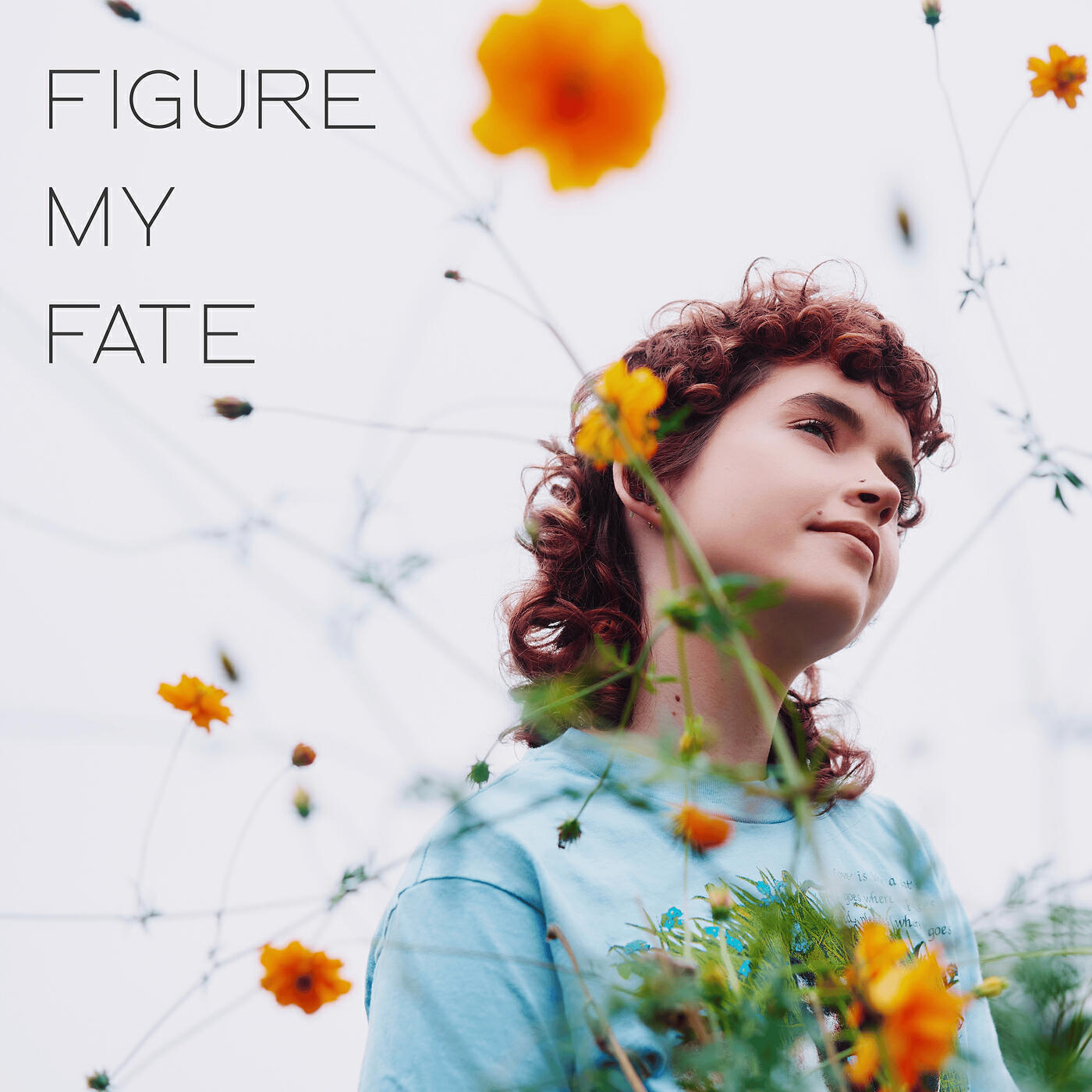 Релиз Figure My Fate