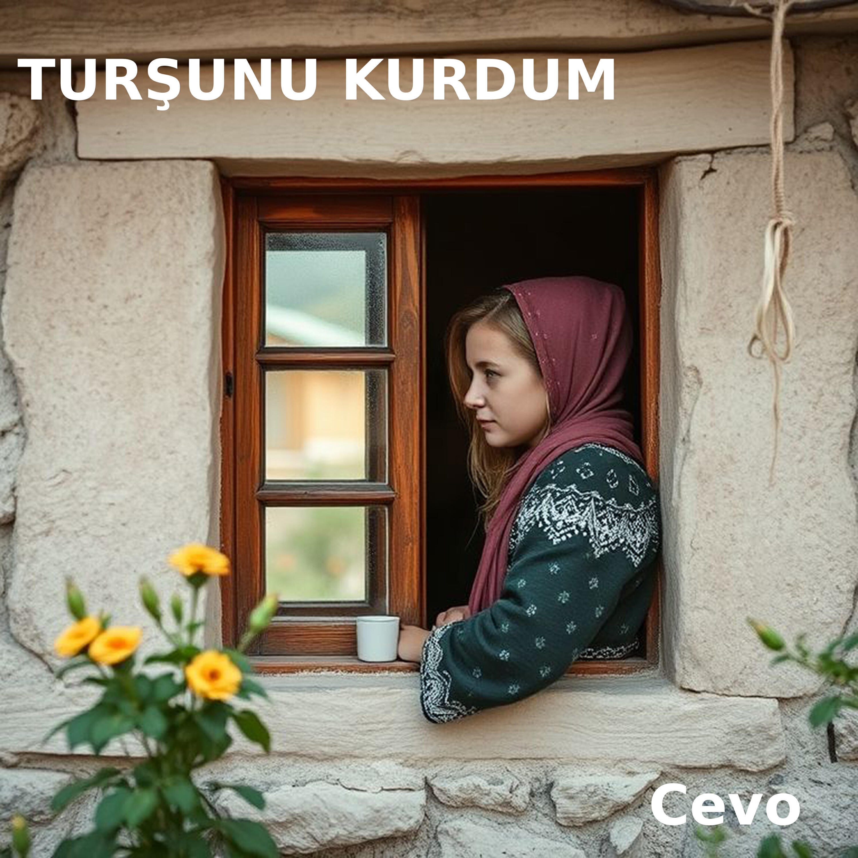 Релиз Turşunu Kurdum
