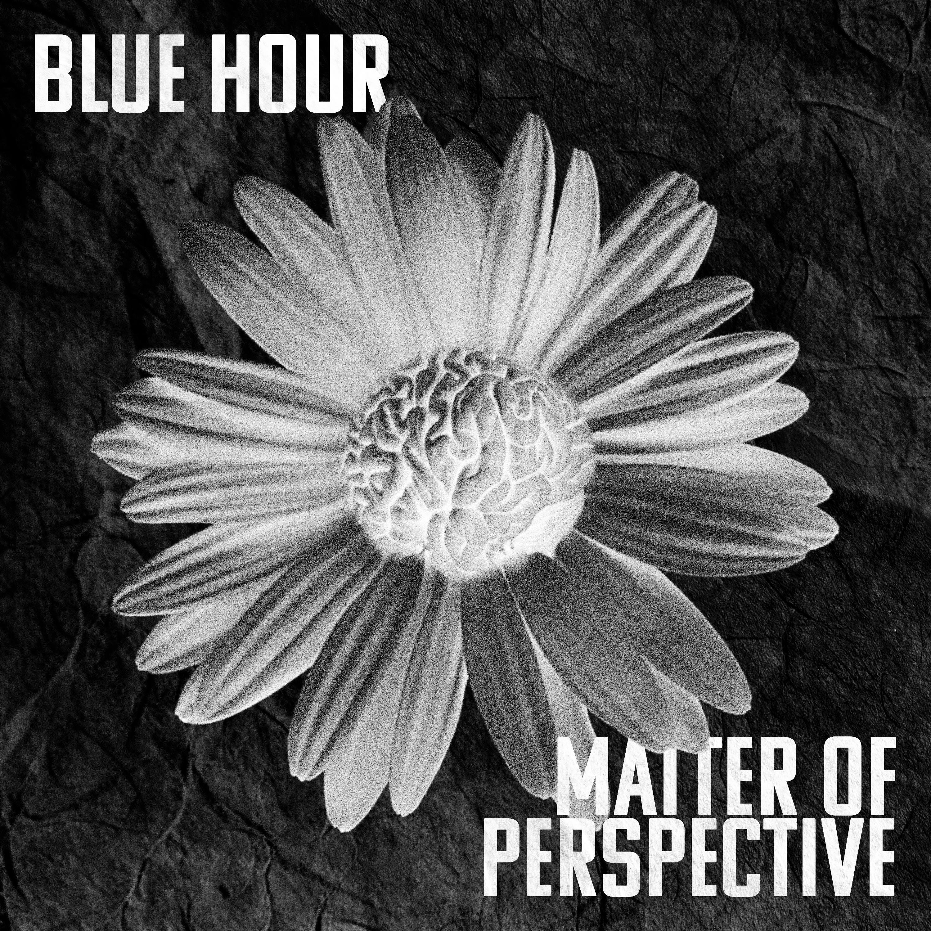 Релиз Matter Of Perspective