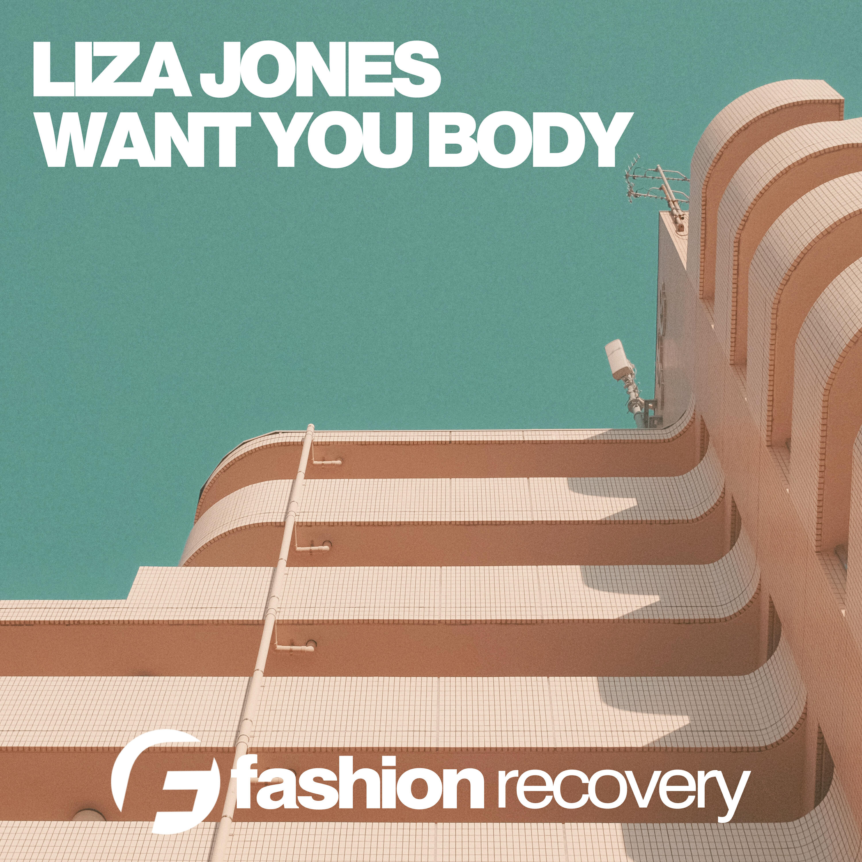 Релиз Want Your Body