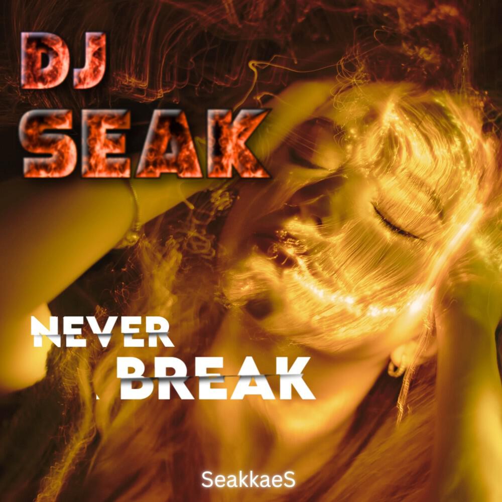 Релиз Never Break