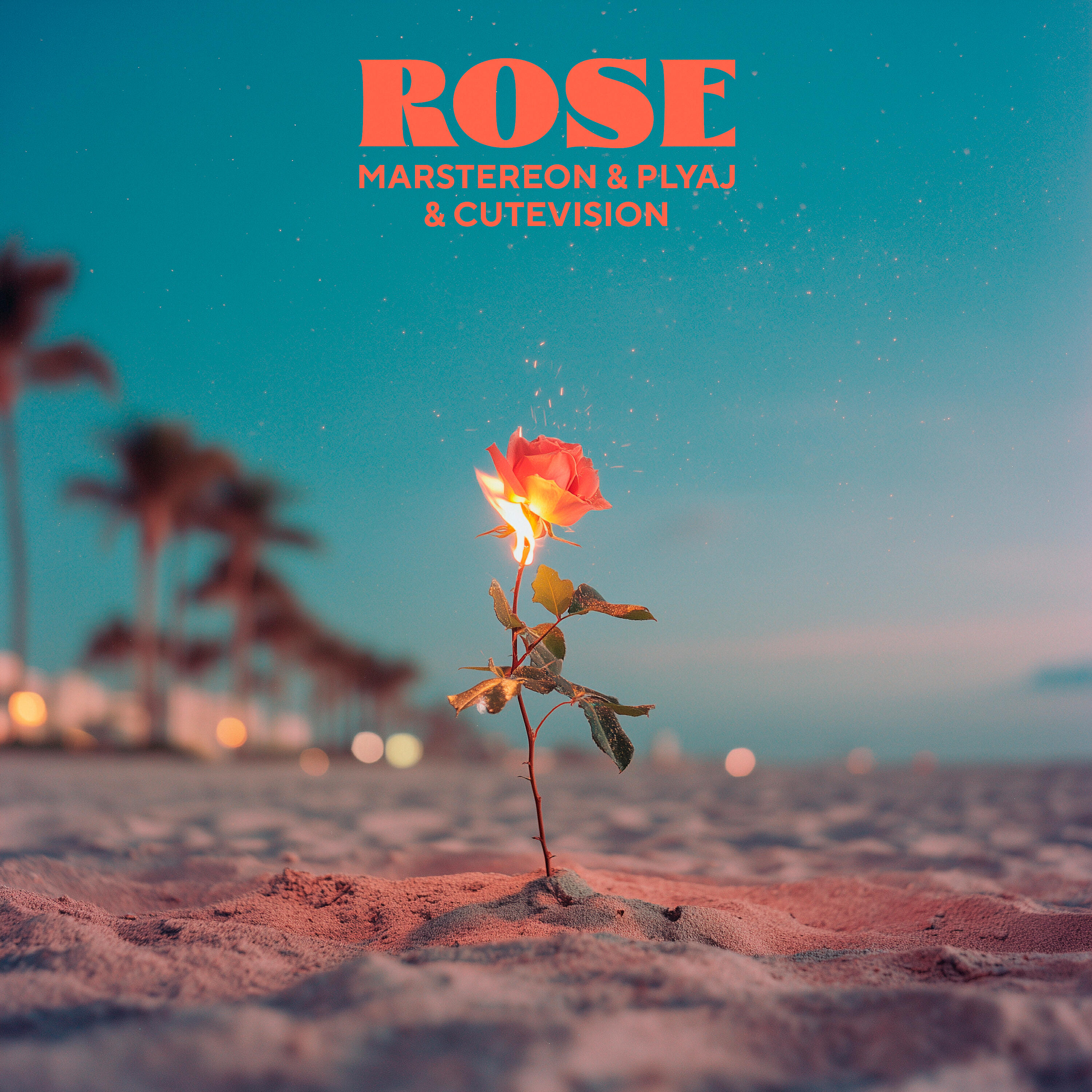Постер альбома Rose
