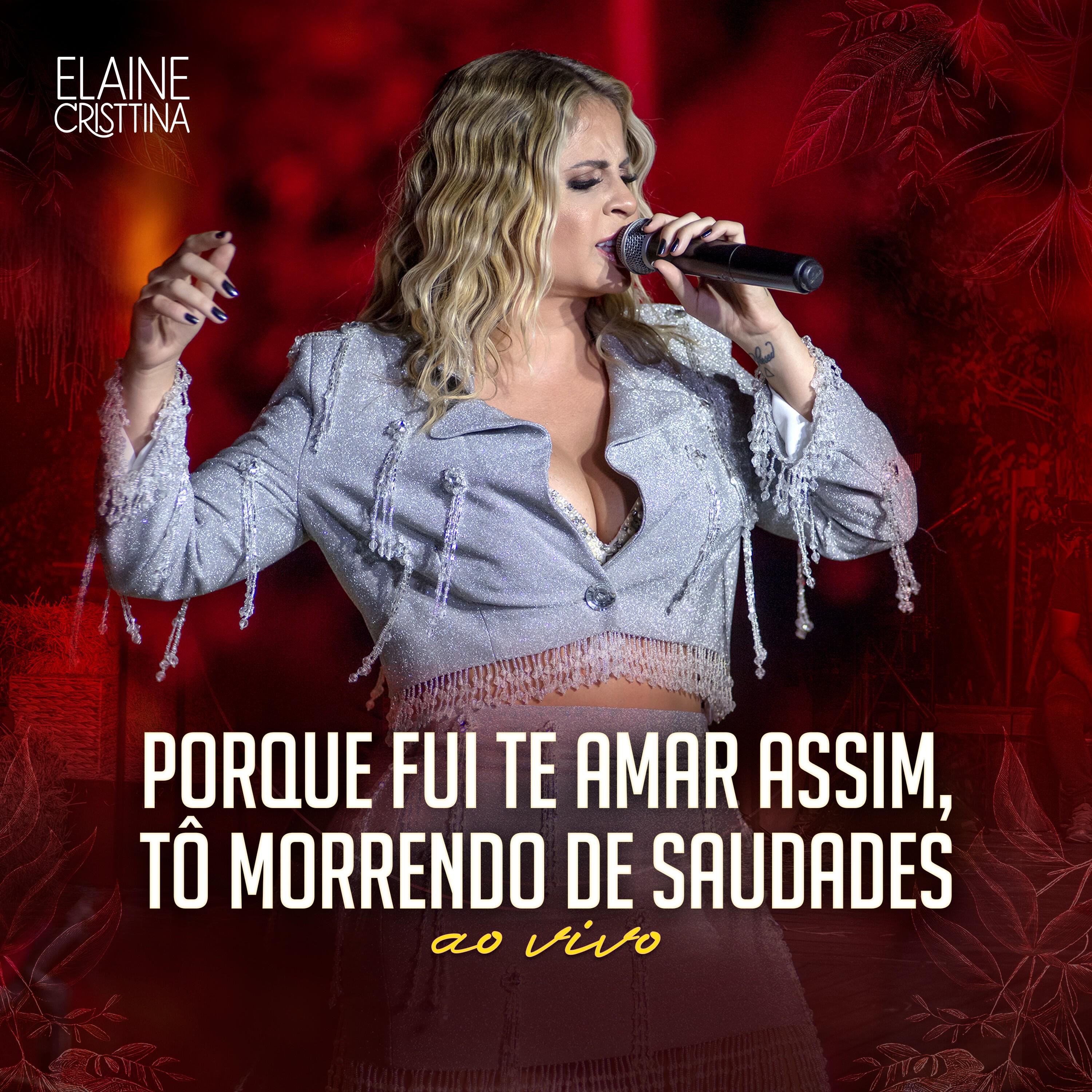 Релиз Porque fui te amar assim, tô morrendo de saudades