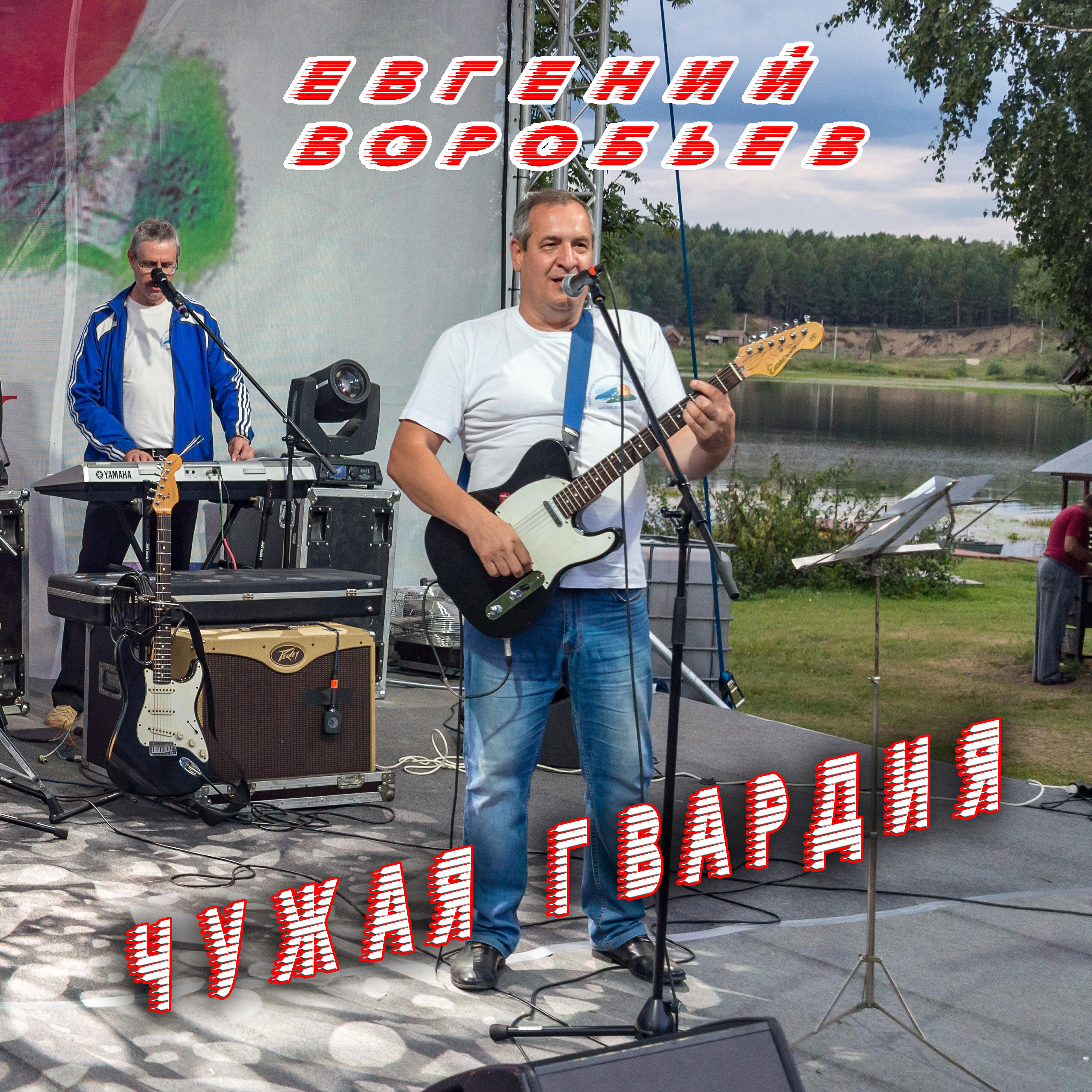 Постер альбома Чужая гвардия