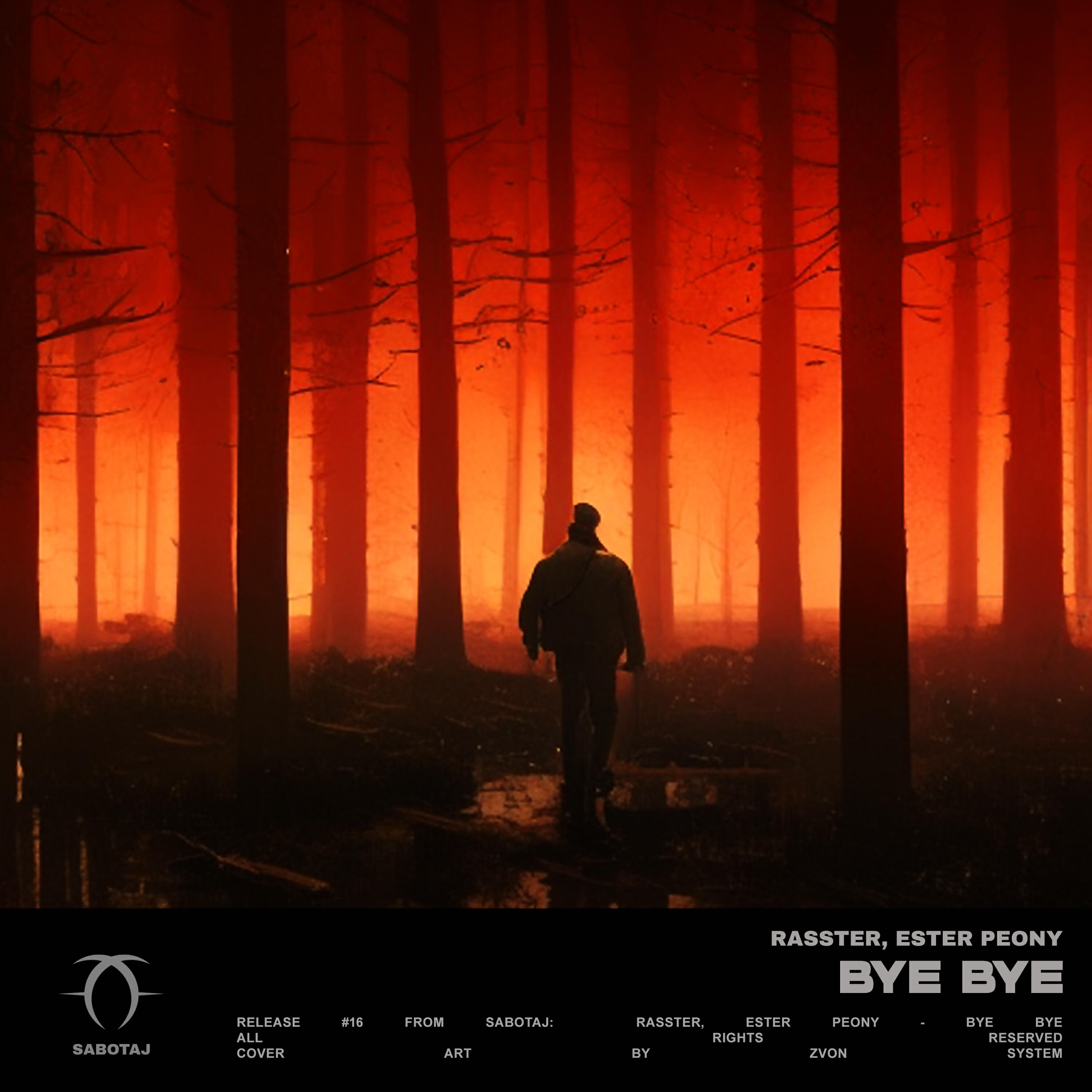 Релиз Bye Bye