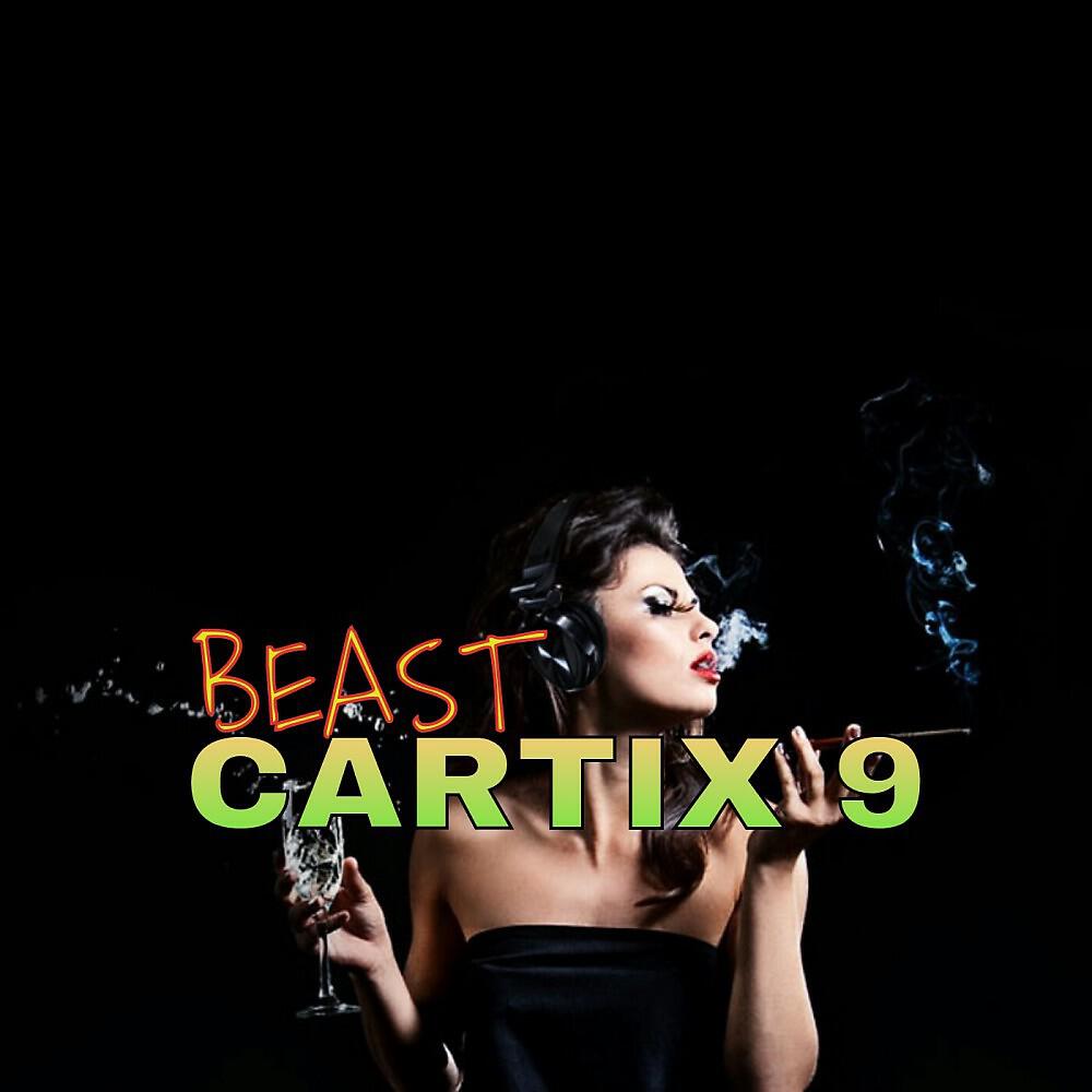 Релиз Beast