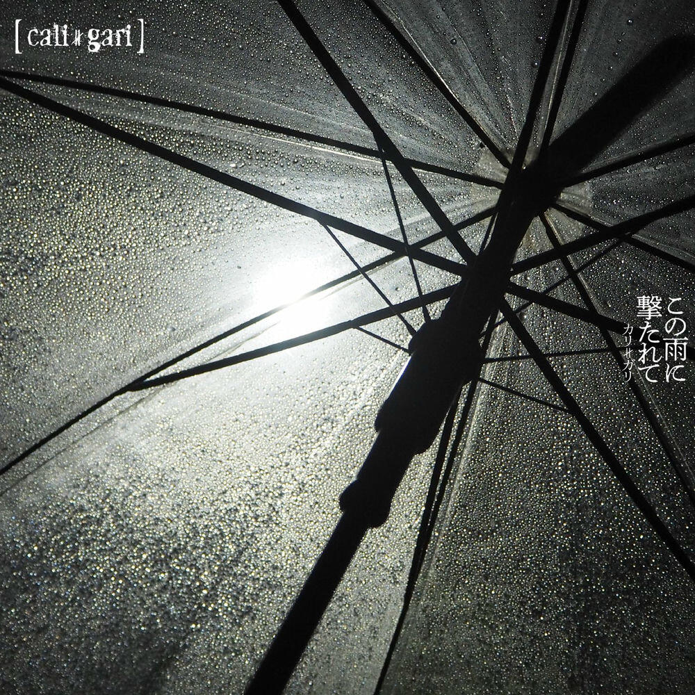 Релиз この雨に撃たれて(霧雨盤)