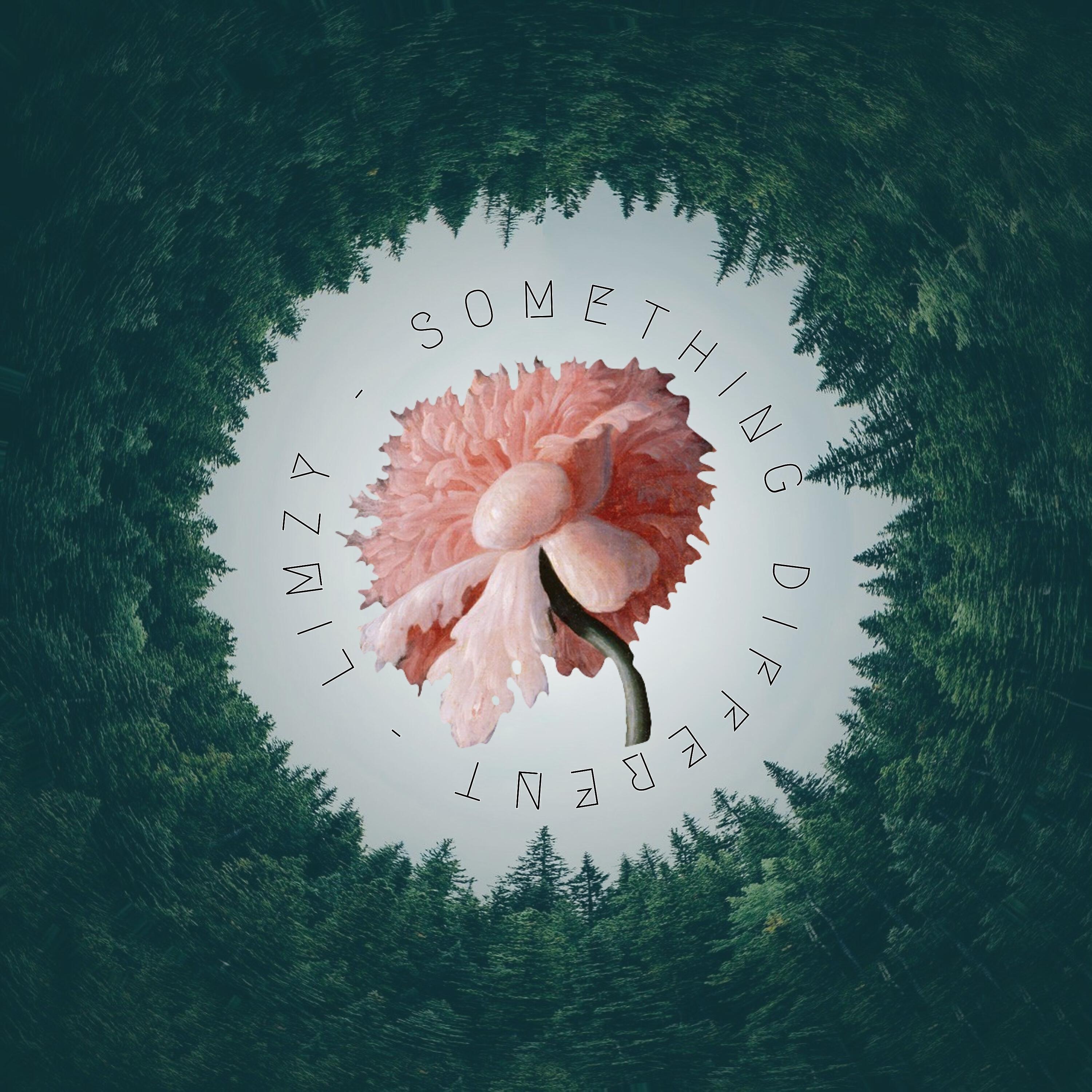 Релиз Something Different