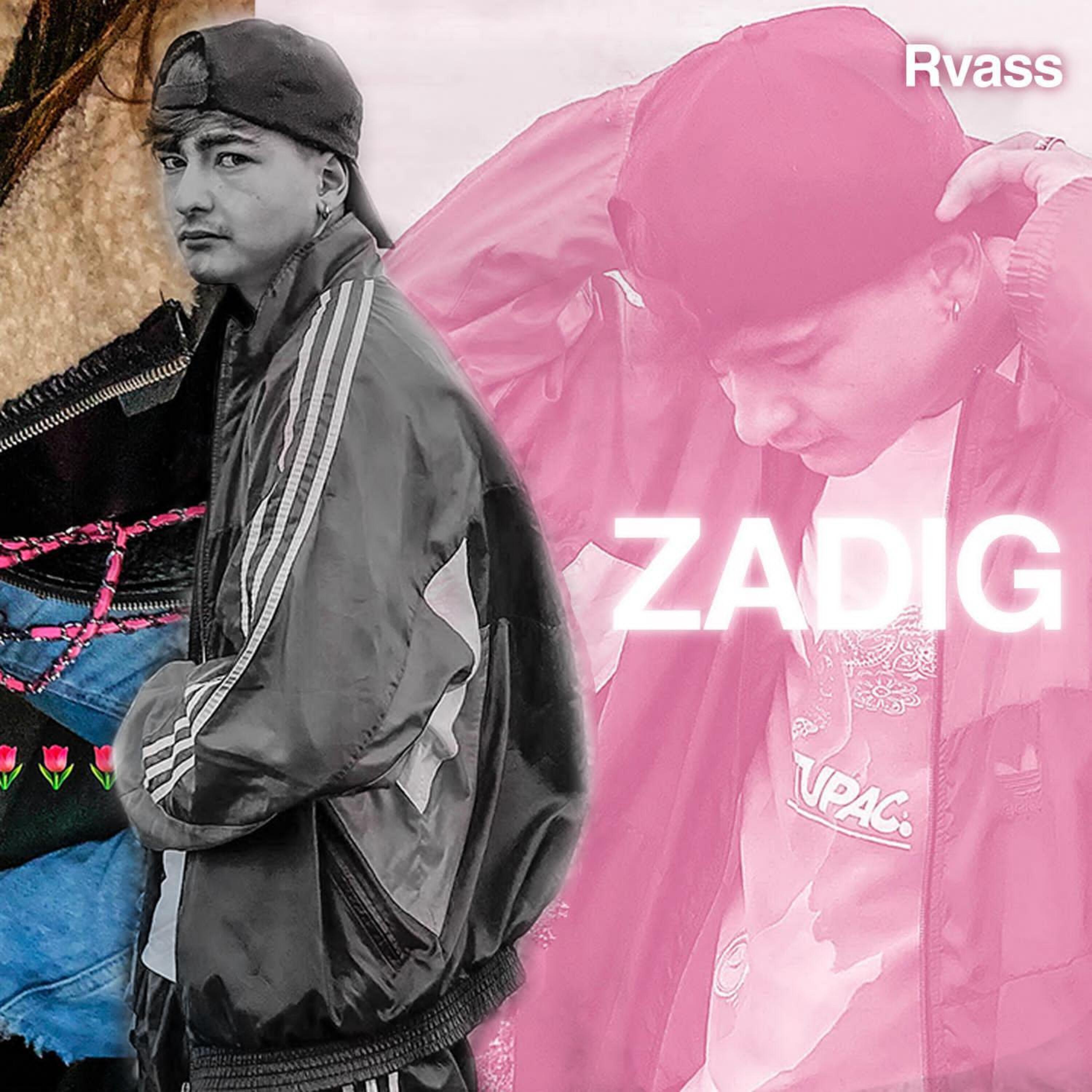 Релиз Zadig