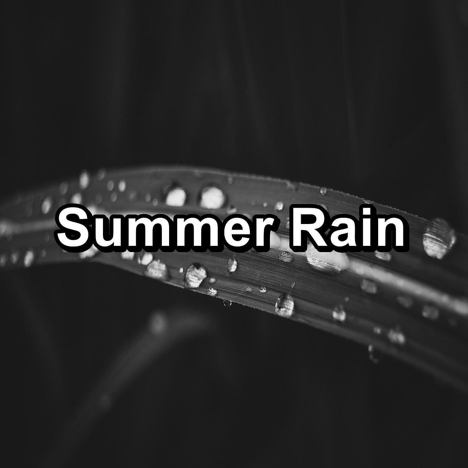Постер альбома Summer Rain
