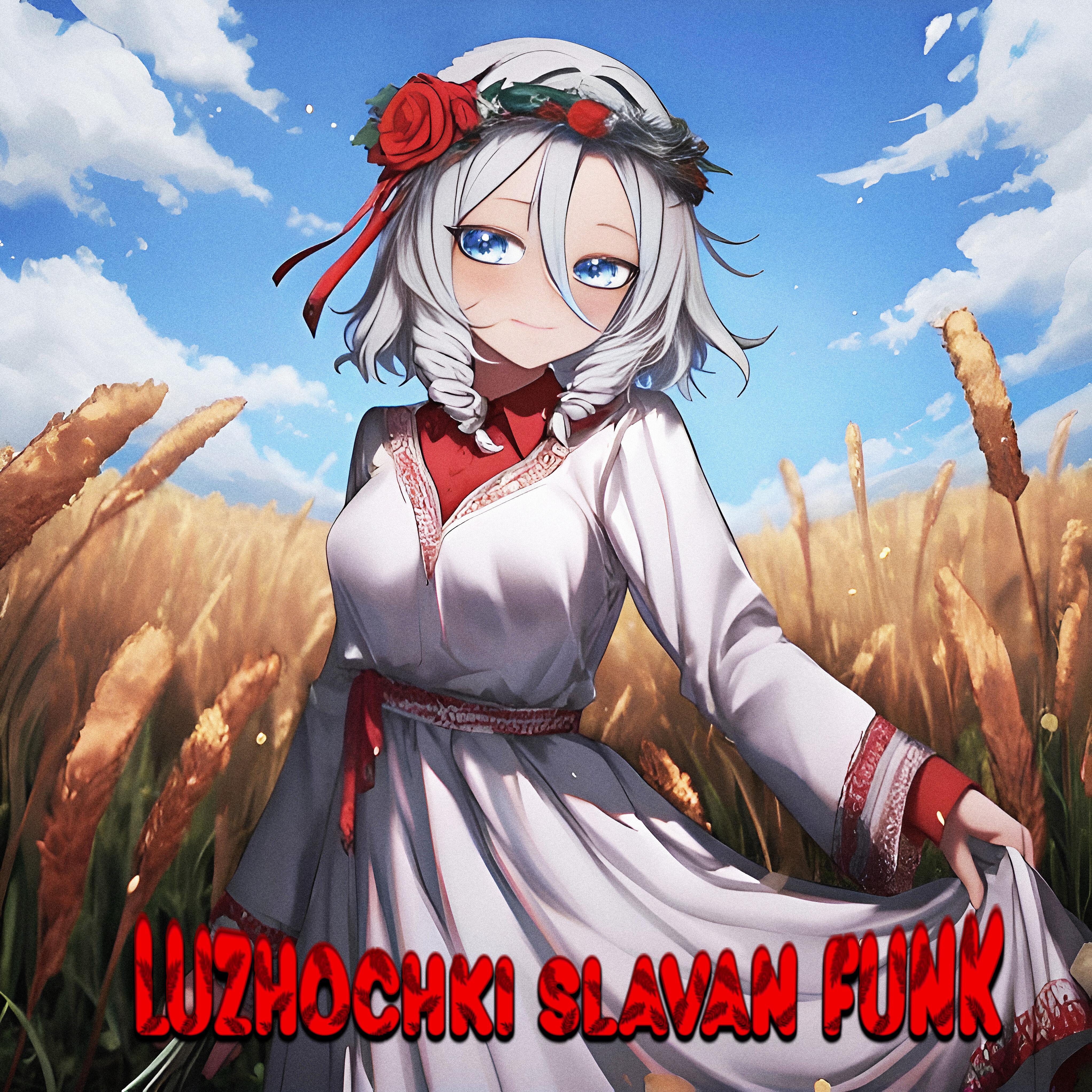 Постер альбома Luzhochki slavan funk