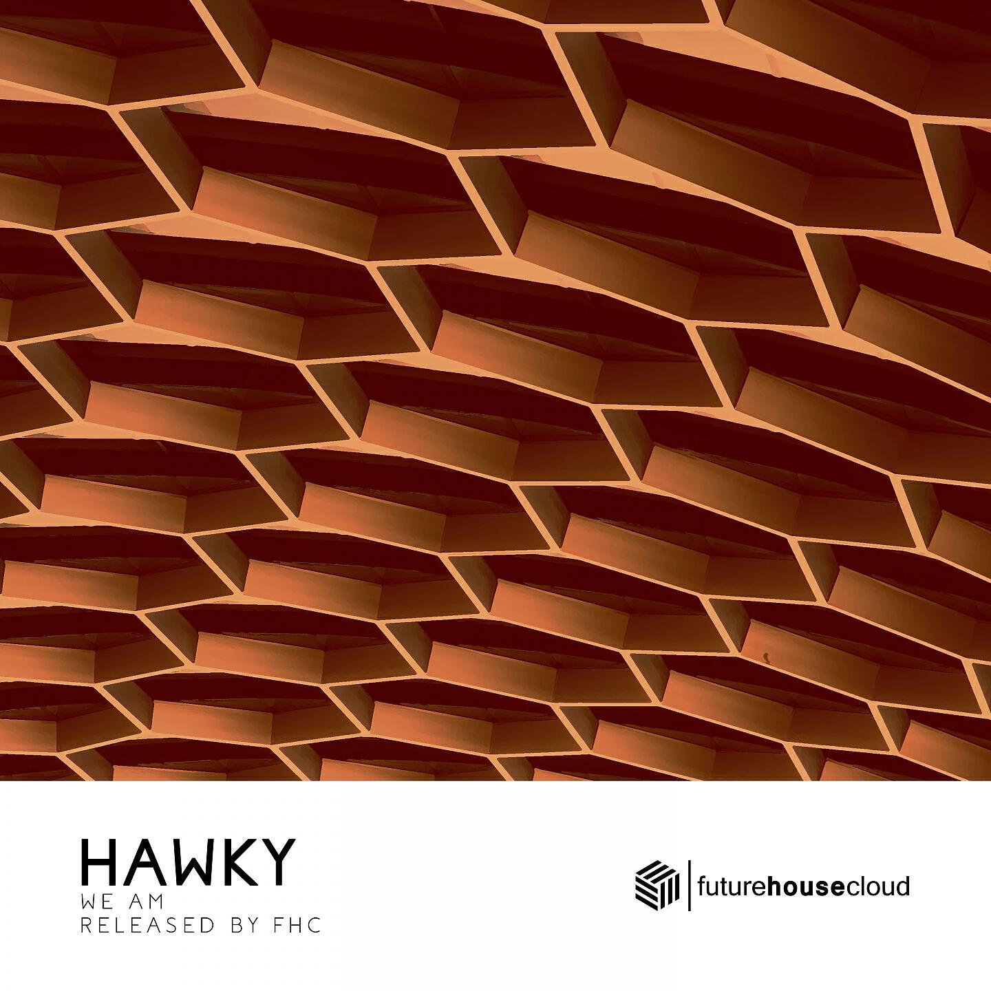 Релиз Hawky