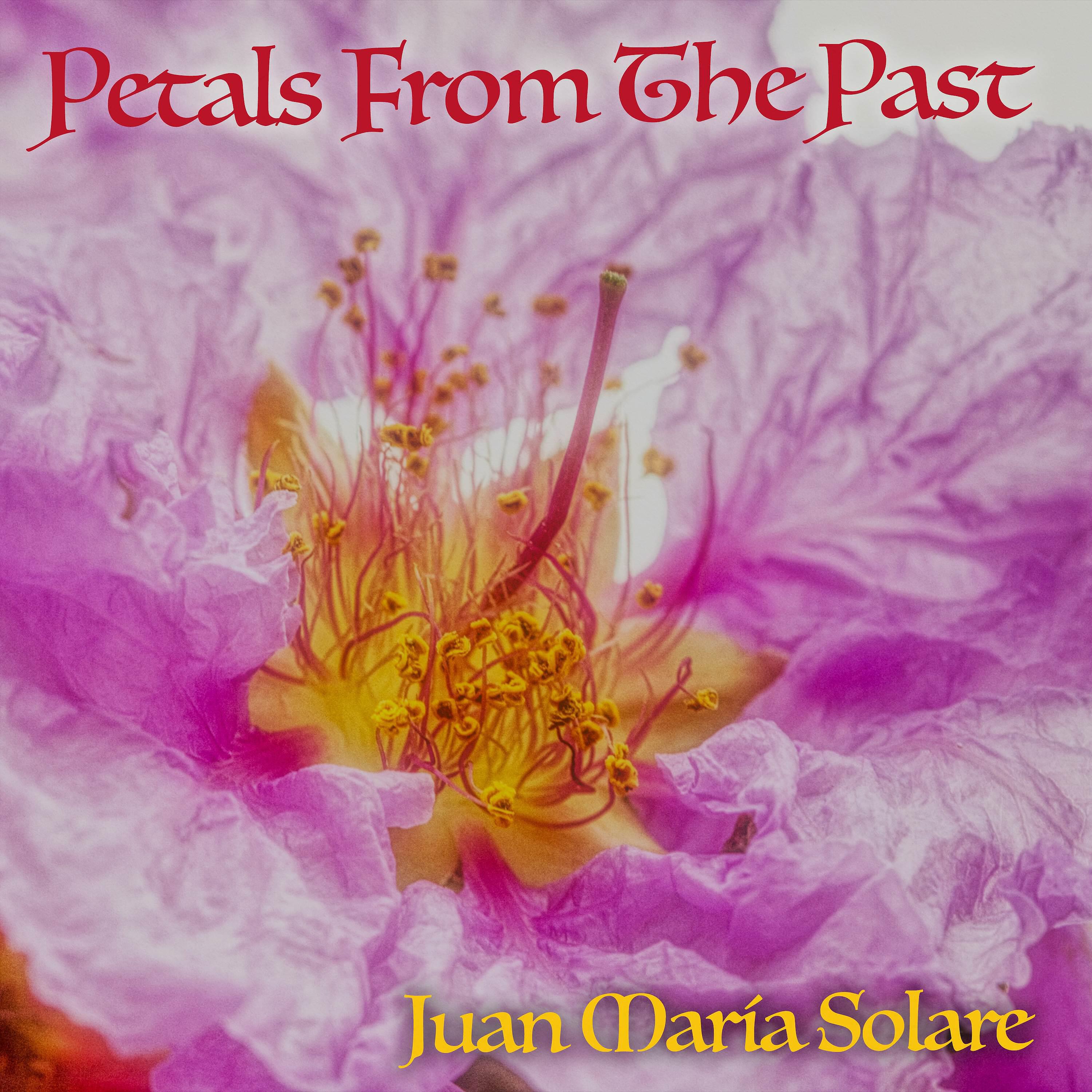 Релиз Petals From the Past