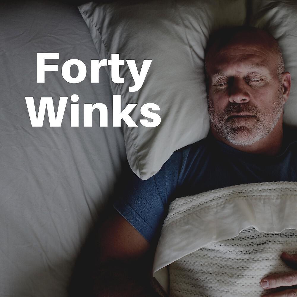 Постер альбома Forty Winks