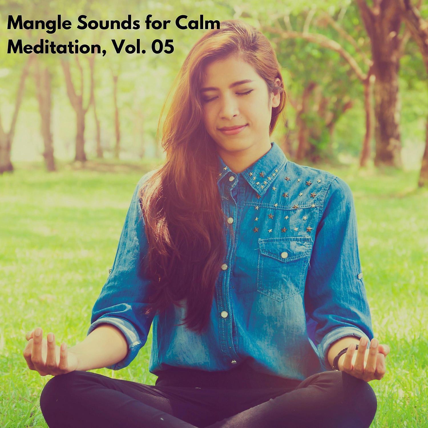 Релиз Mangle Sounds for Calm Meditation, Vol. 05