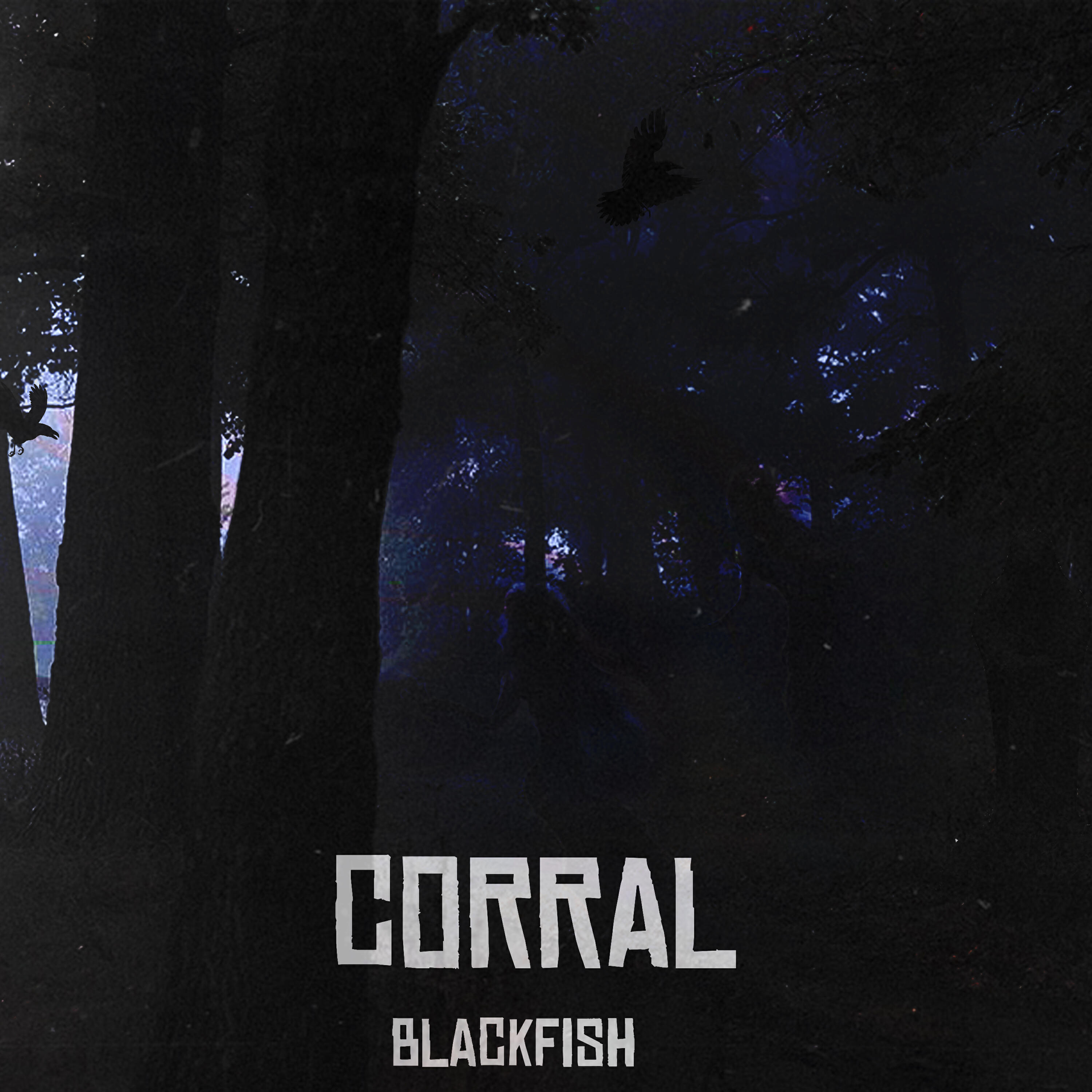 Релиз Corral