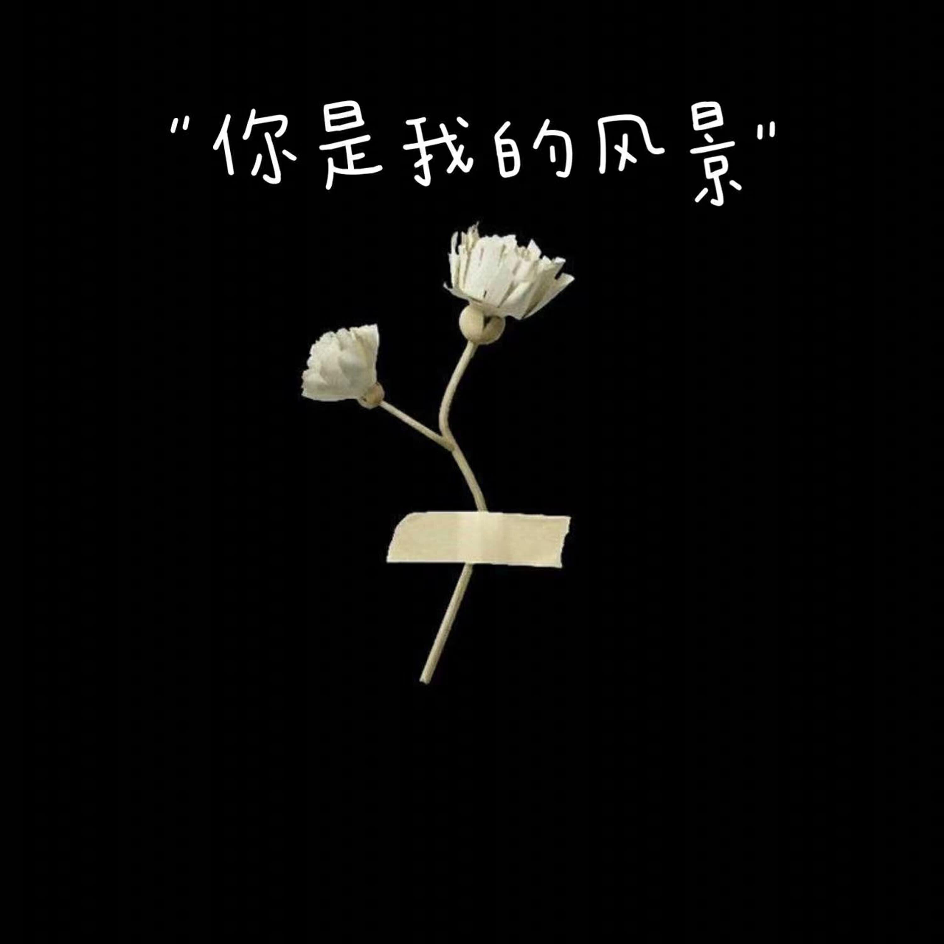 Релиз 你是我的风景