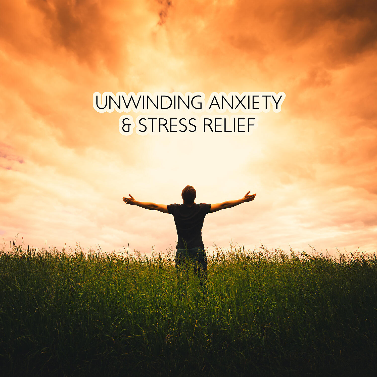 Релиз Unwinding Anxiety & Stress Relief Mindfulness Meditation