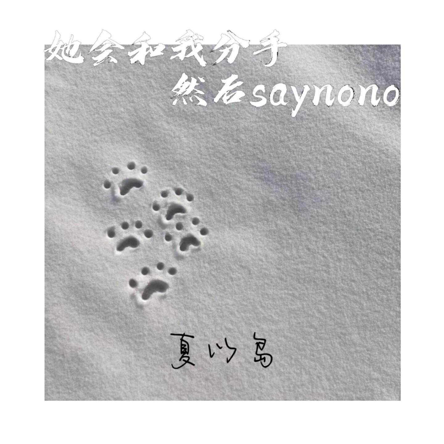 Релиз 她会和我分手然后saynono