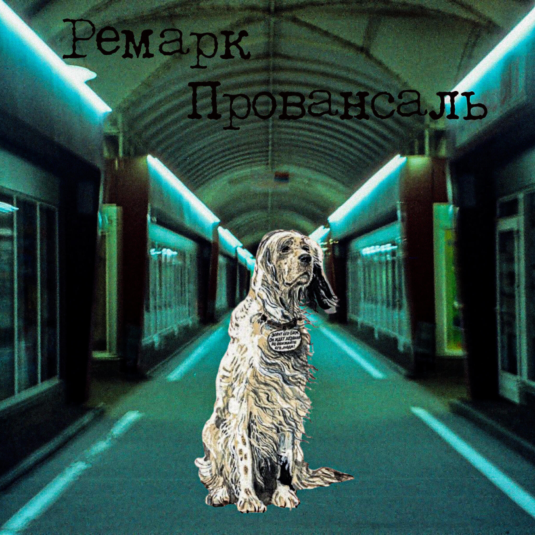 Релиз Пёс боксер