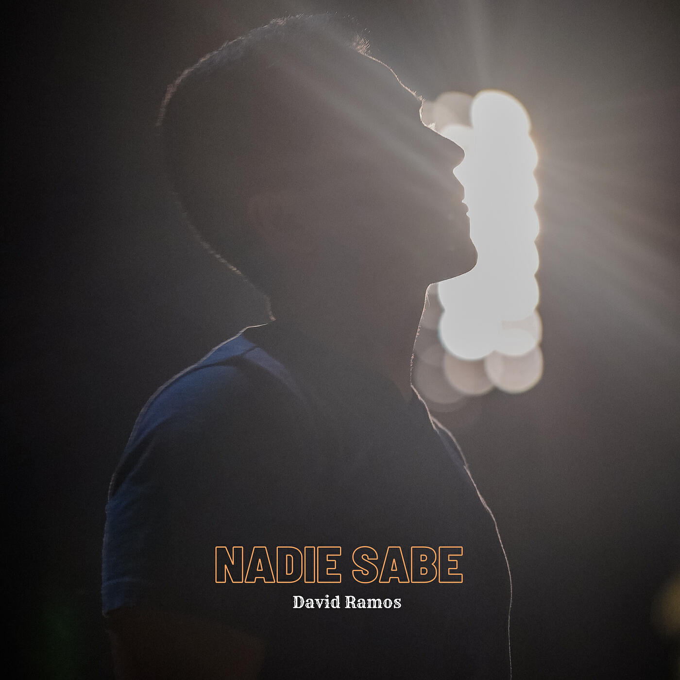 Релиз Nadie Sabe