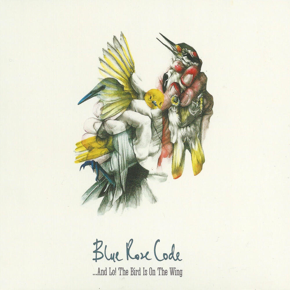 Релиз ...And Lo! The Bird Is On The Wing
