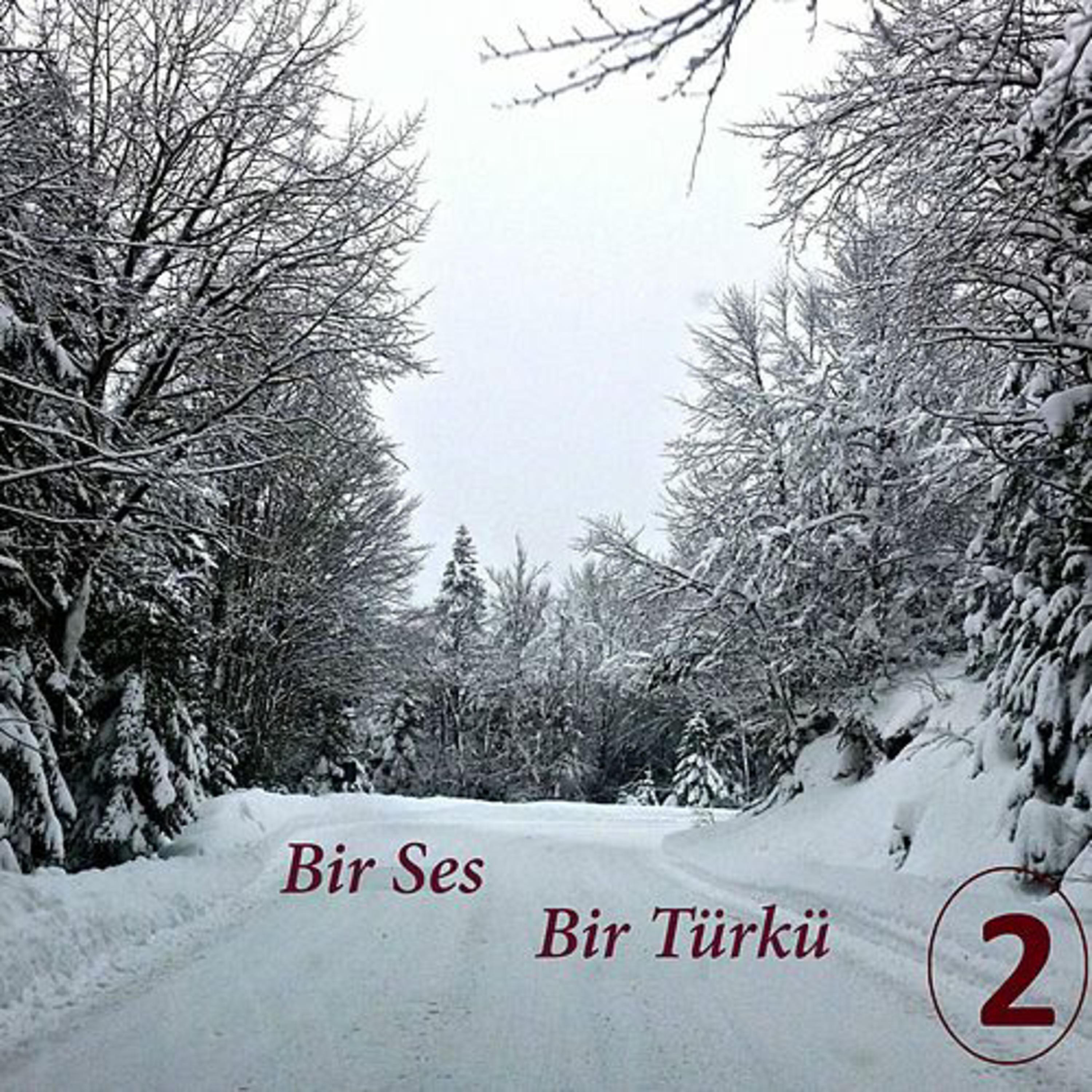 Релиз Bir Ses Bir Türkü, Vol.2