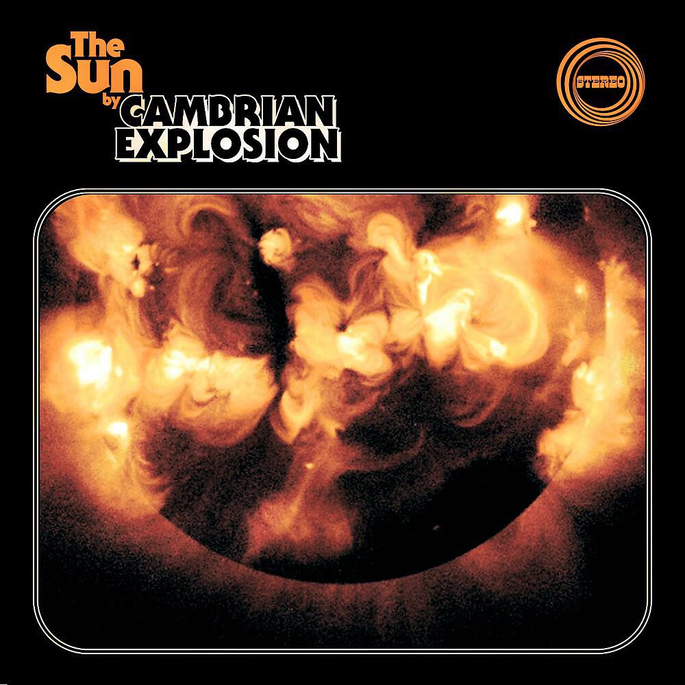 Cambrian Explosion
