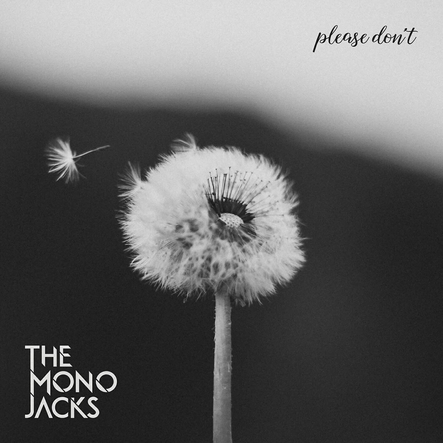 Релиз Please Don't