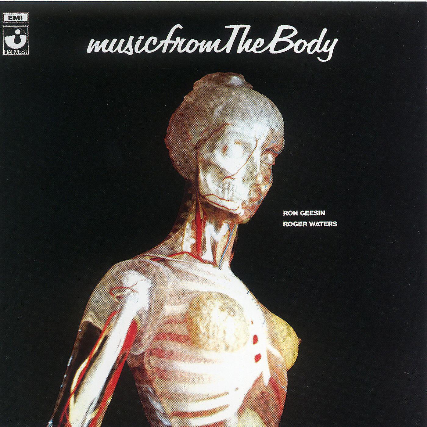 Релиз Music From The Body